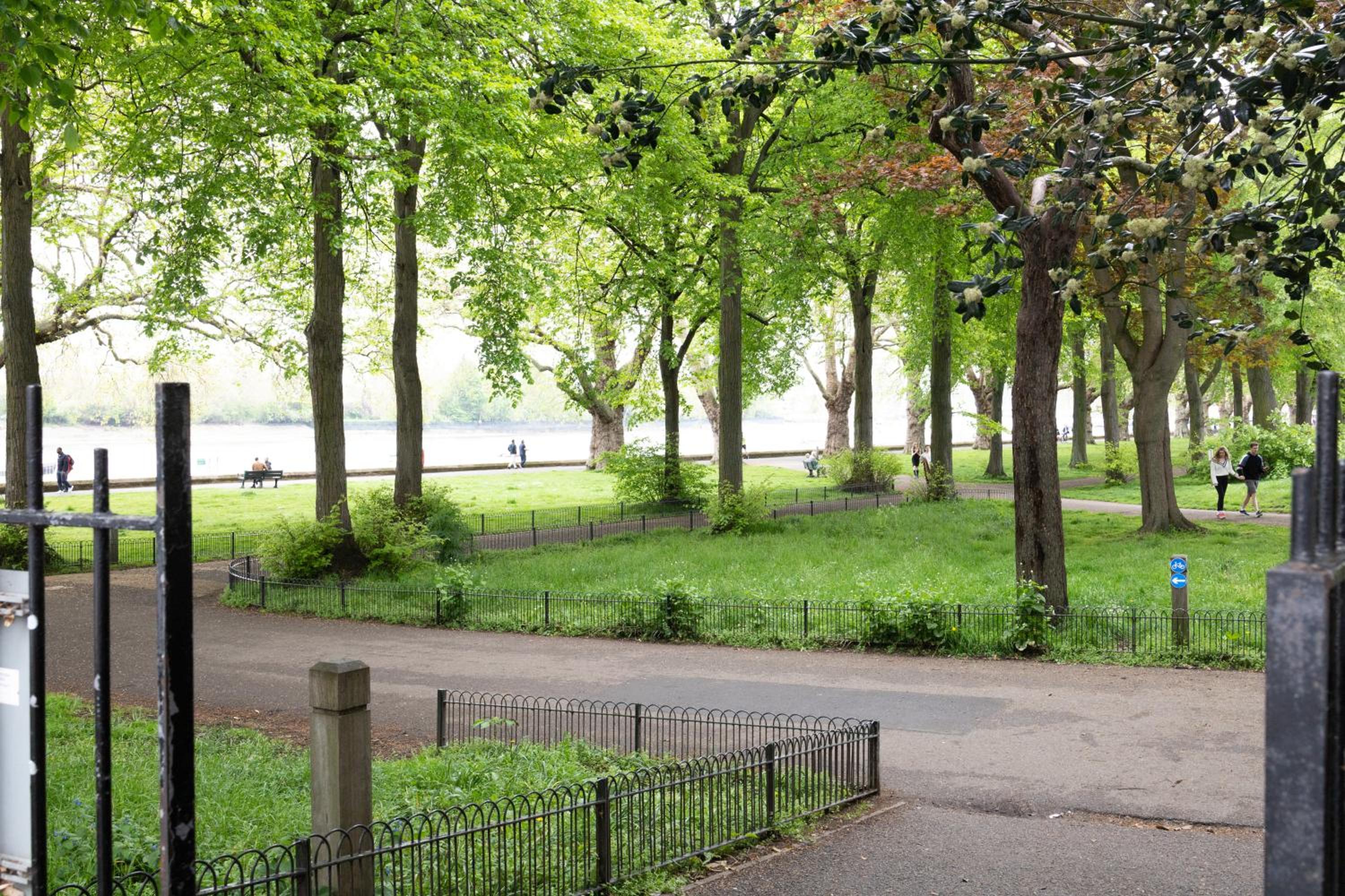 Large Putney Oasis 3-Bed with Garden & Parking