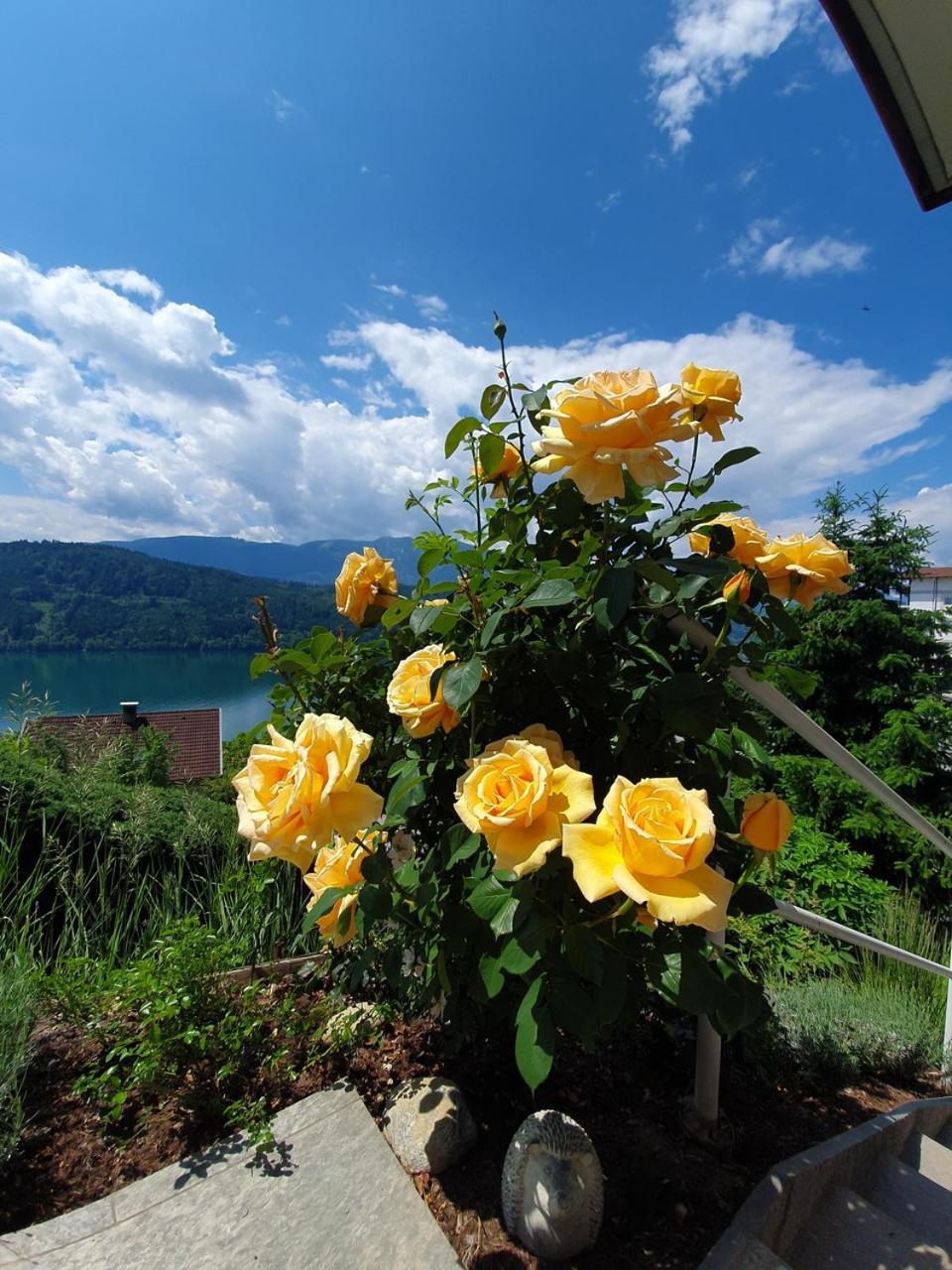 Haus Kraller-Urlaub mit Seeblick