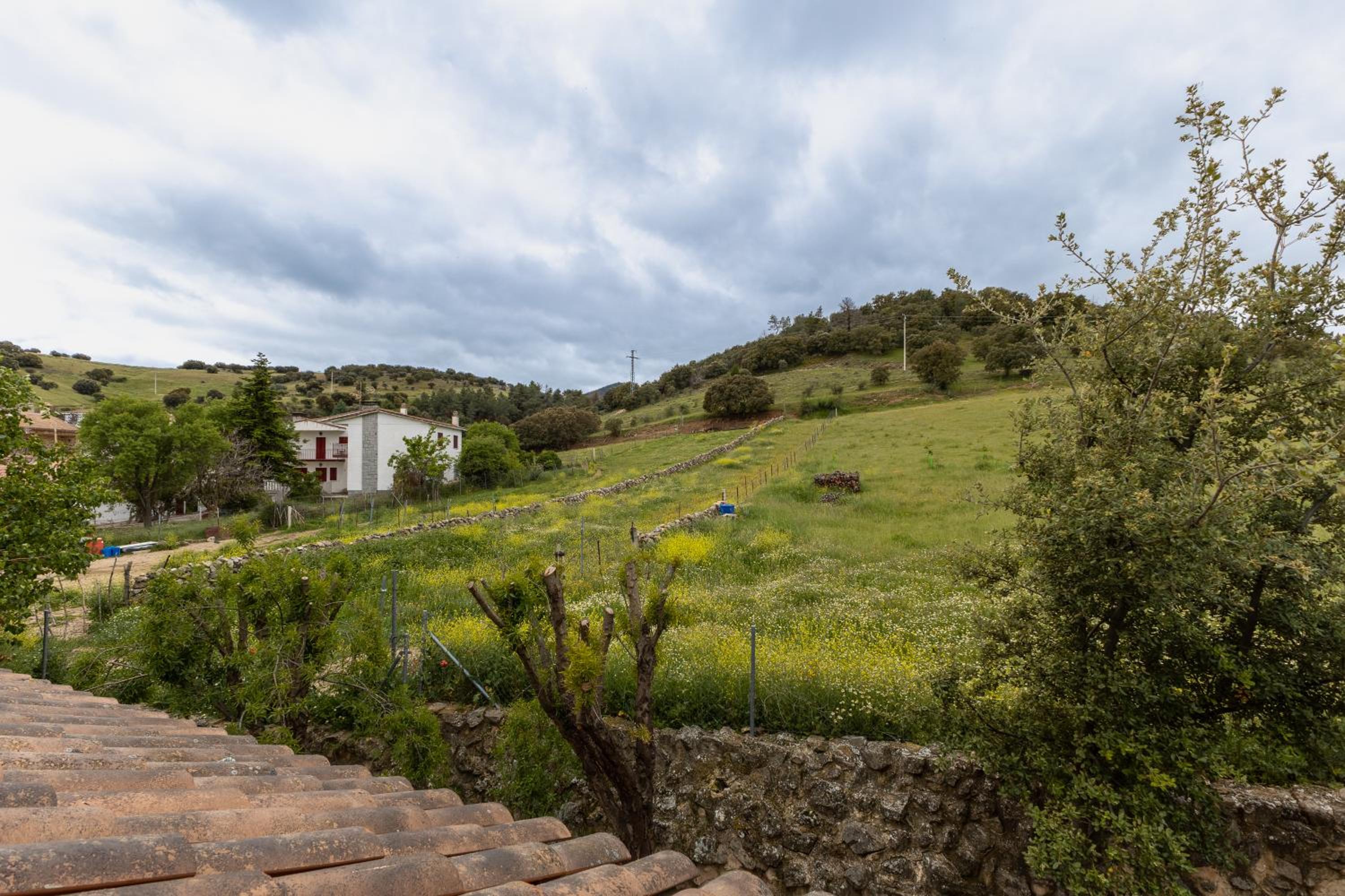 El Herrén Del Abuelo