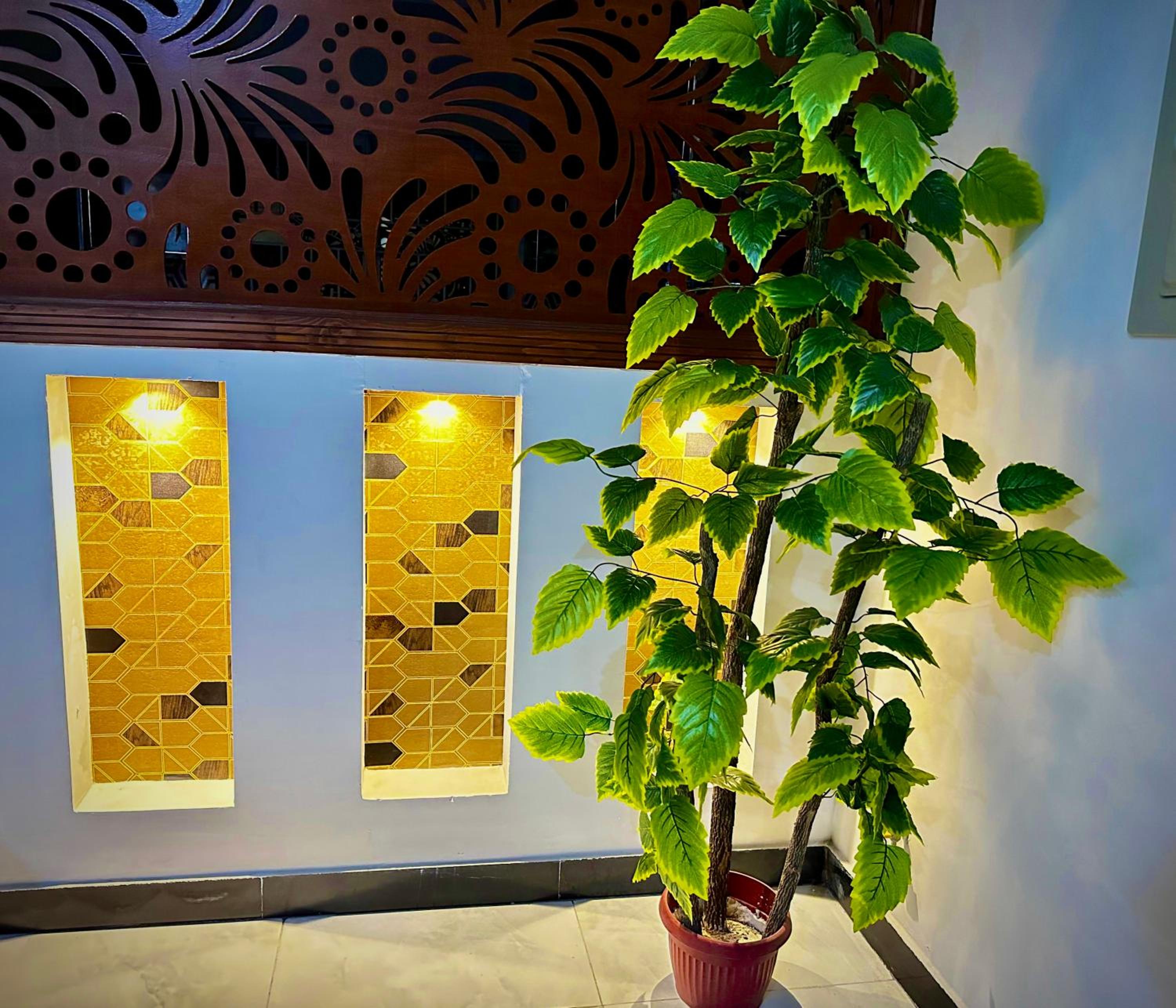 Homely Guest House