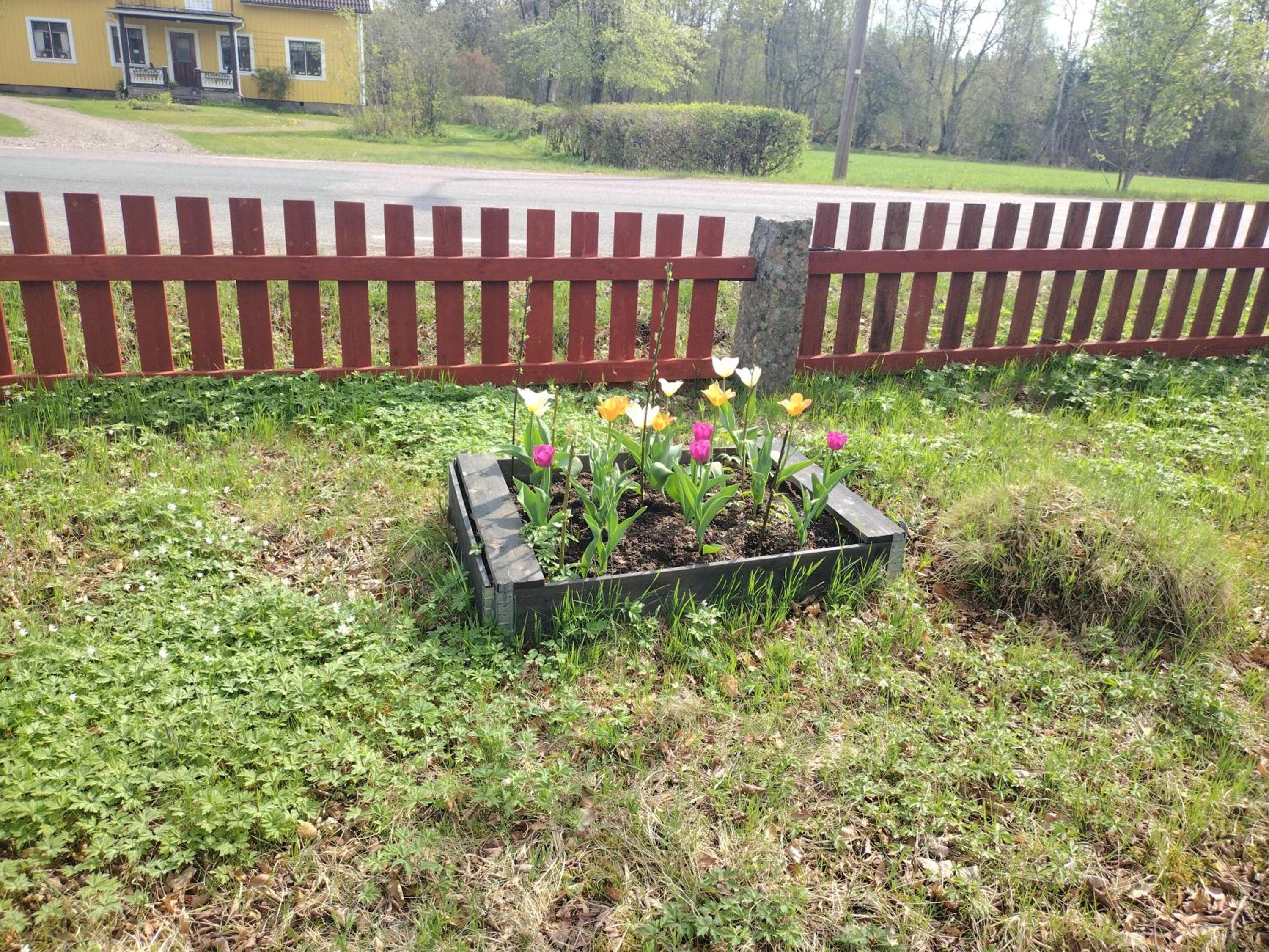 Photo 11