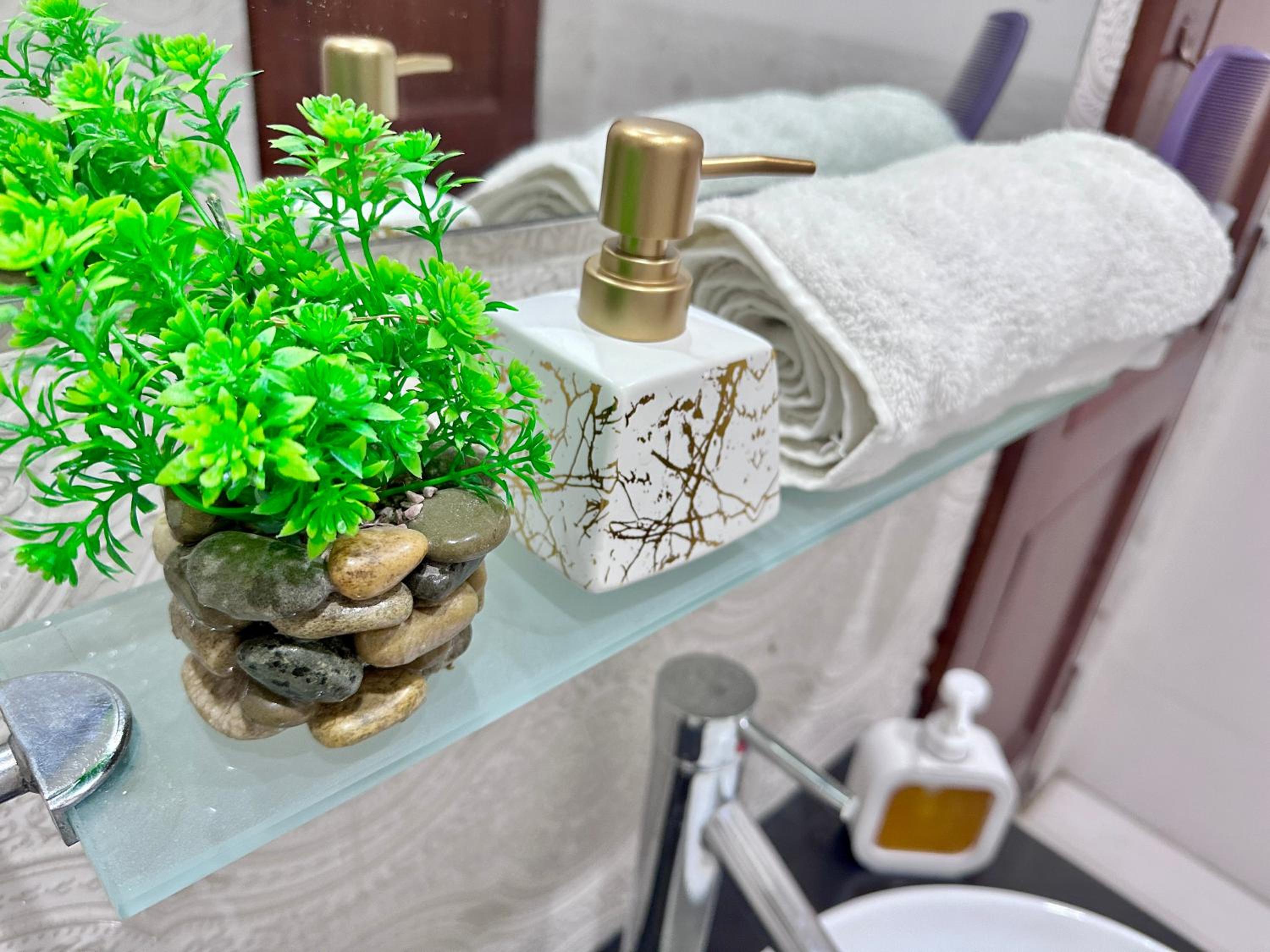 Homely Guest House