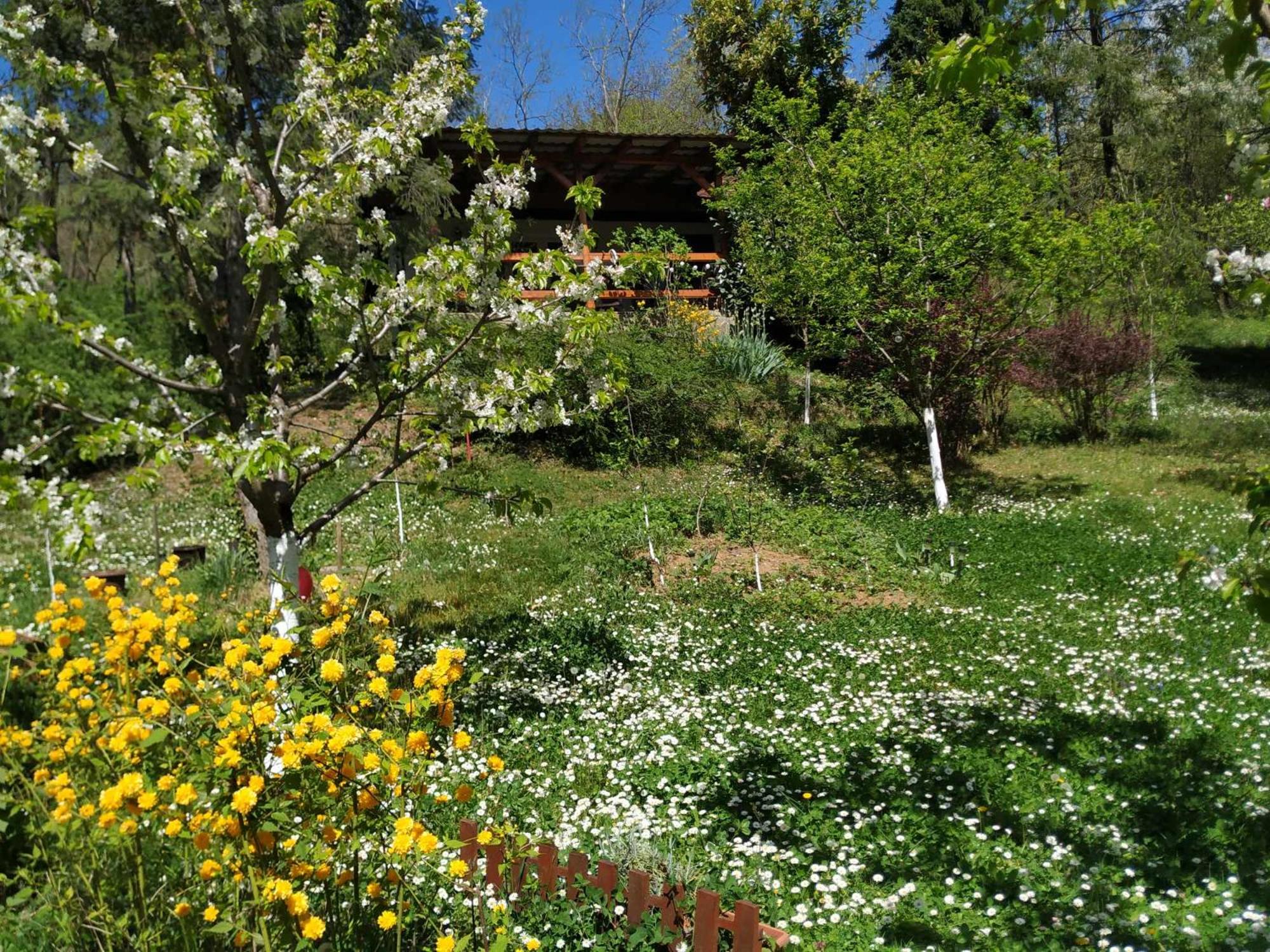 Holiday Home Nanin Konak view 3