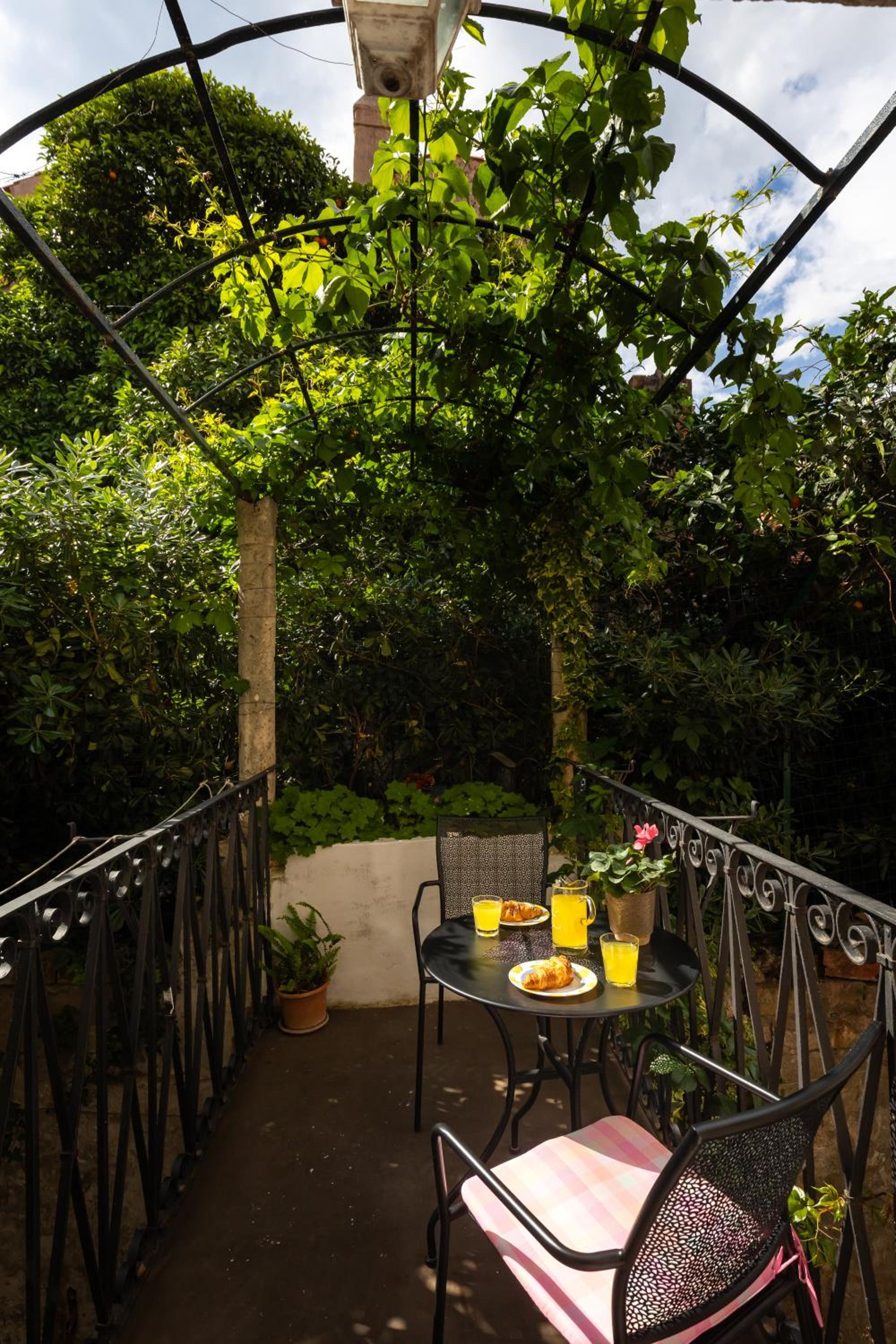 balance & terrace
