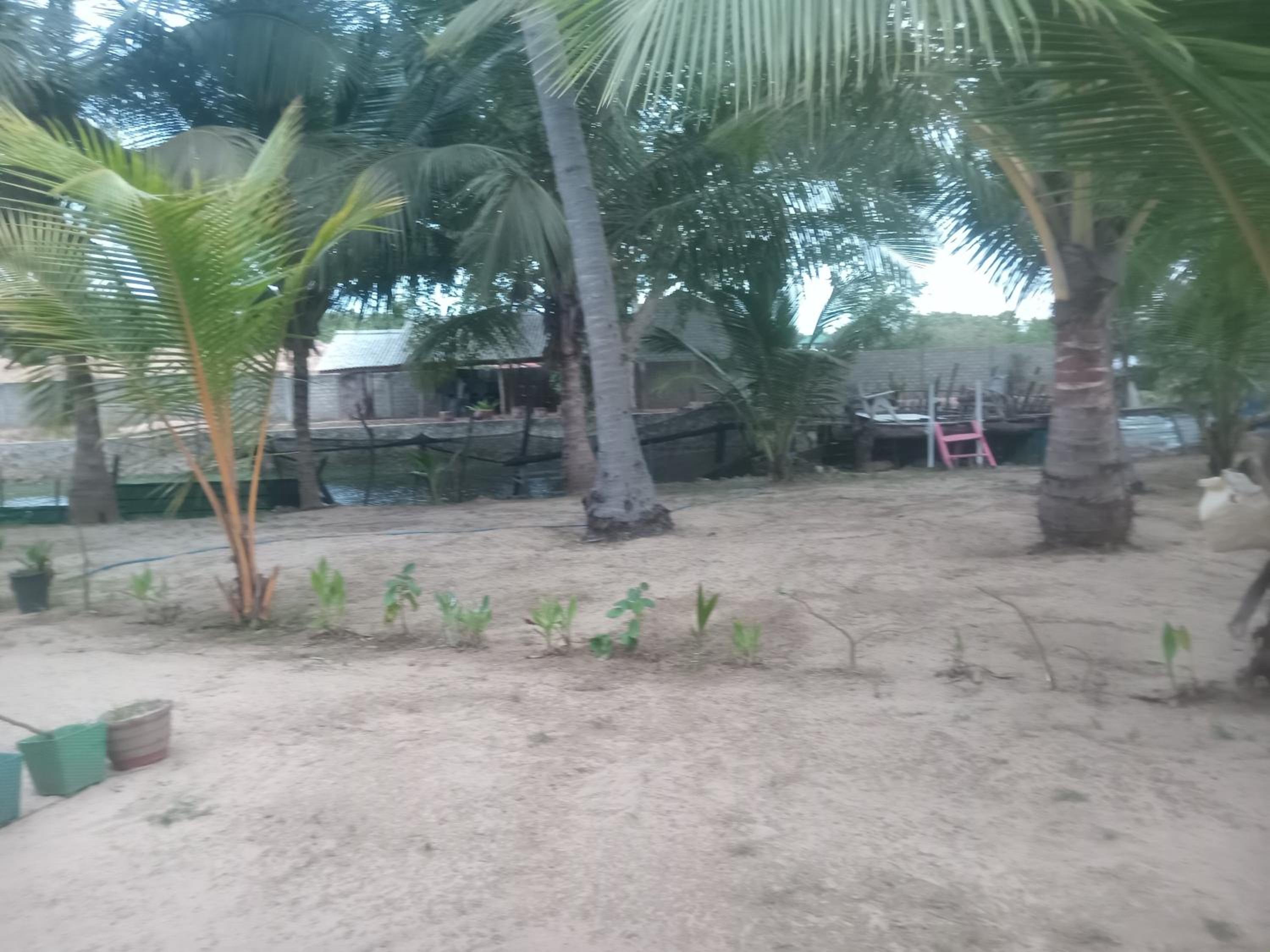 Riverpark Guesthouse Arugambay