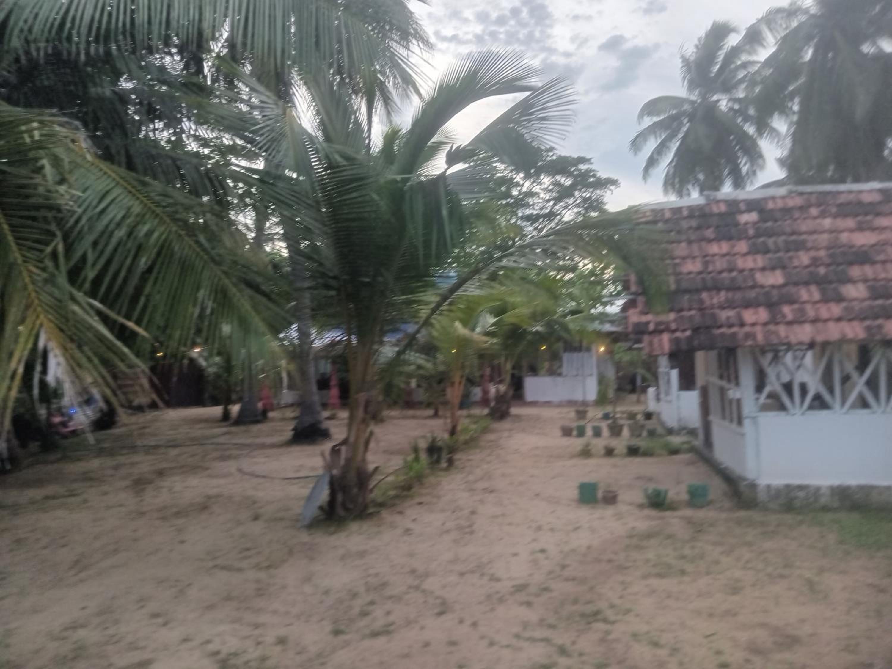 Riverpark Guesthouse Arugambay