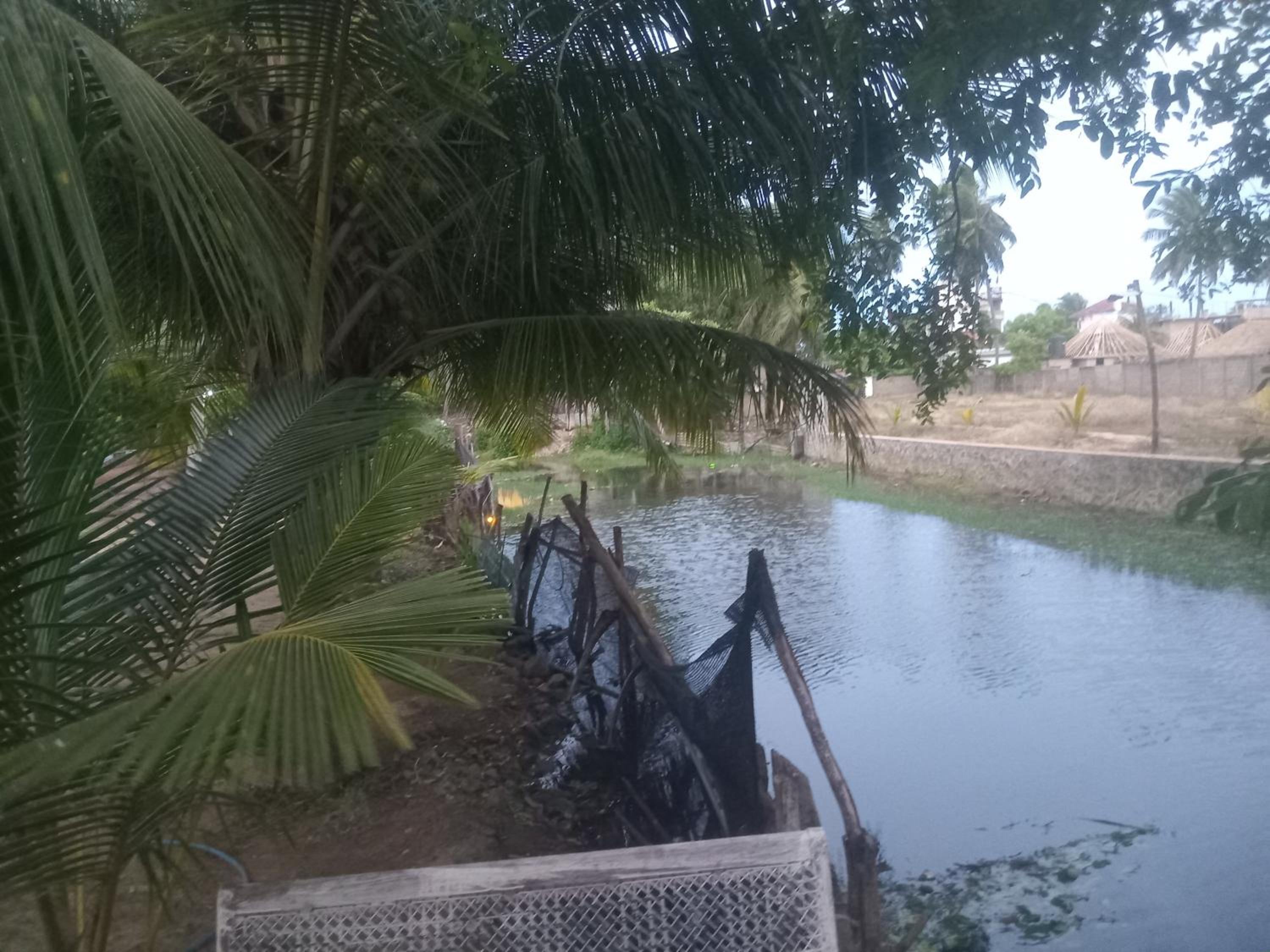 Riverpark Guesthouse Arugambay