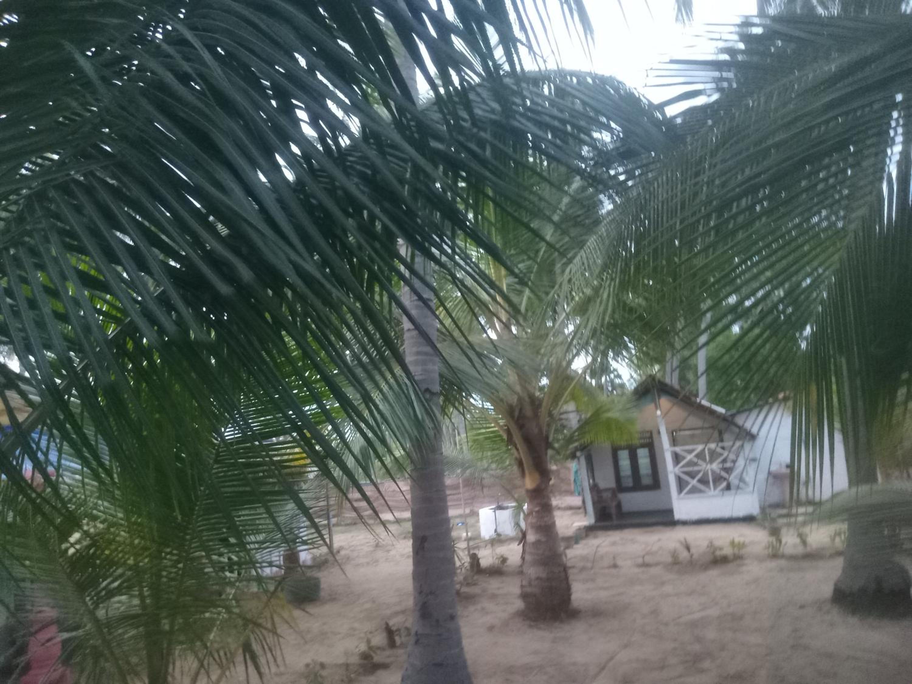 Riverpark Guesthouse Arugambay