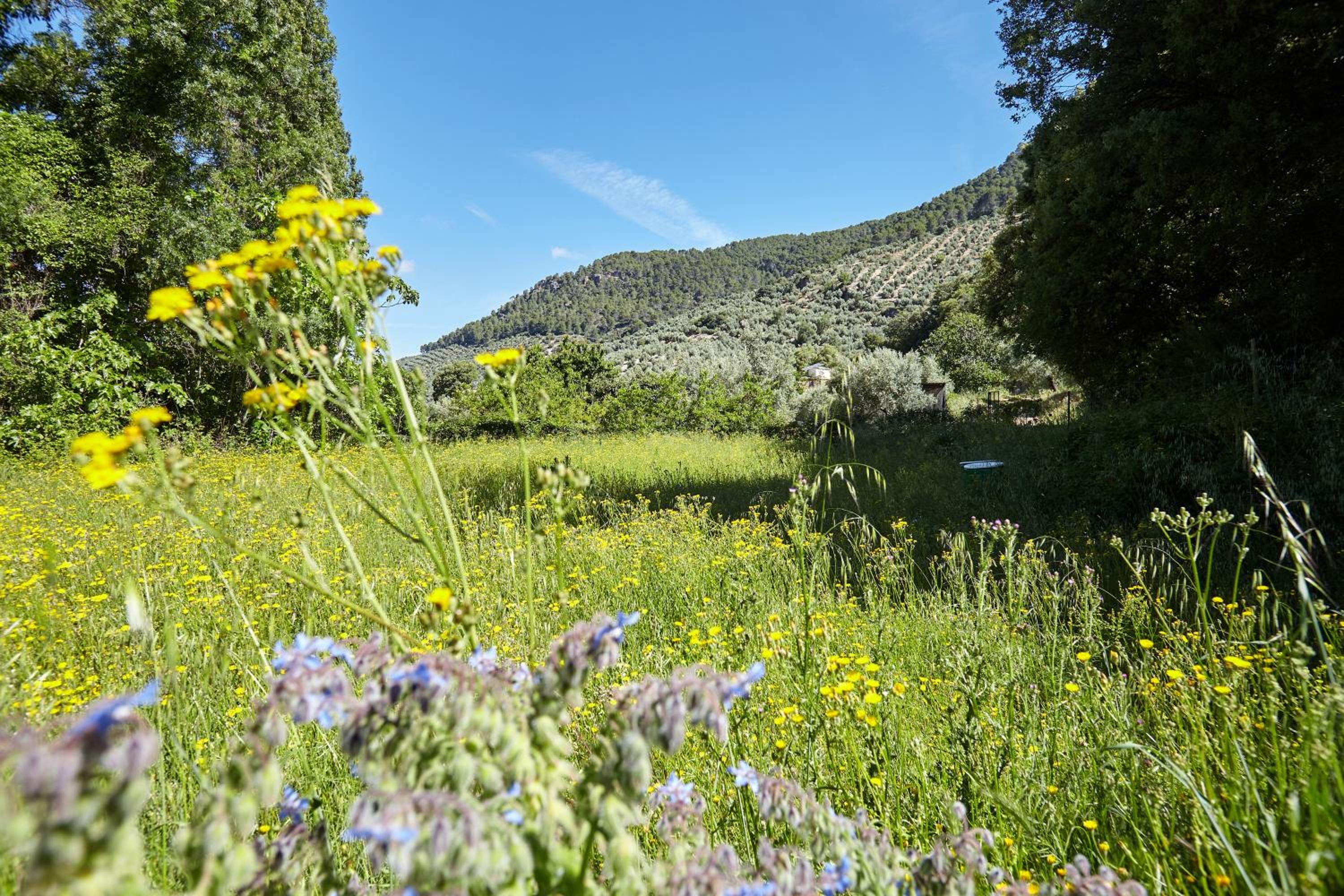 Apartamento Cortijo el Soto