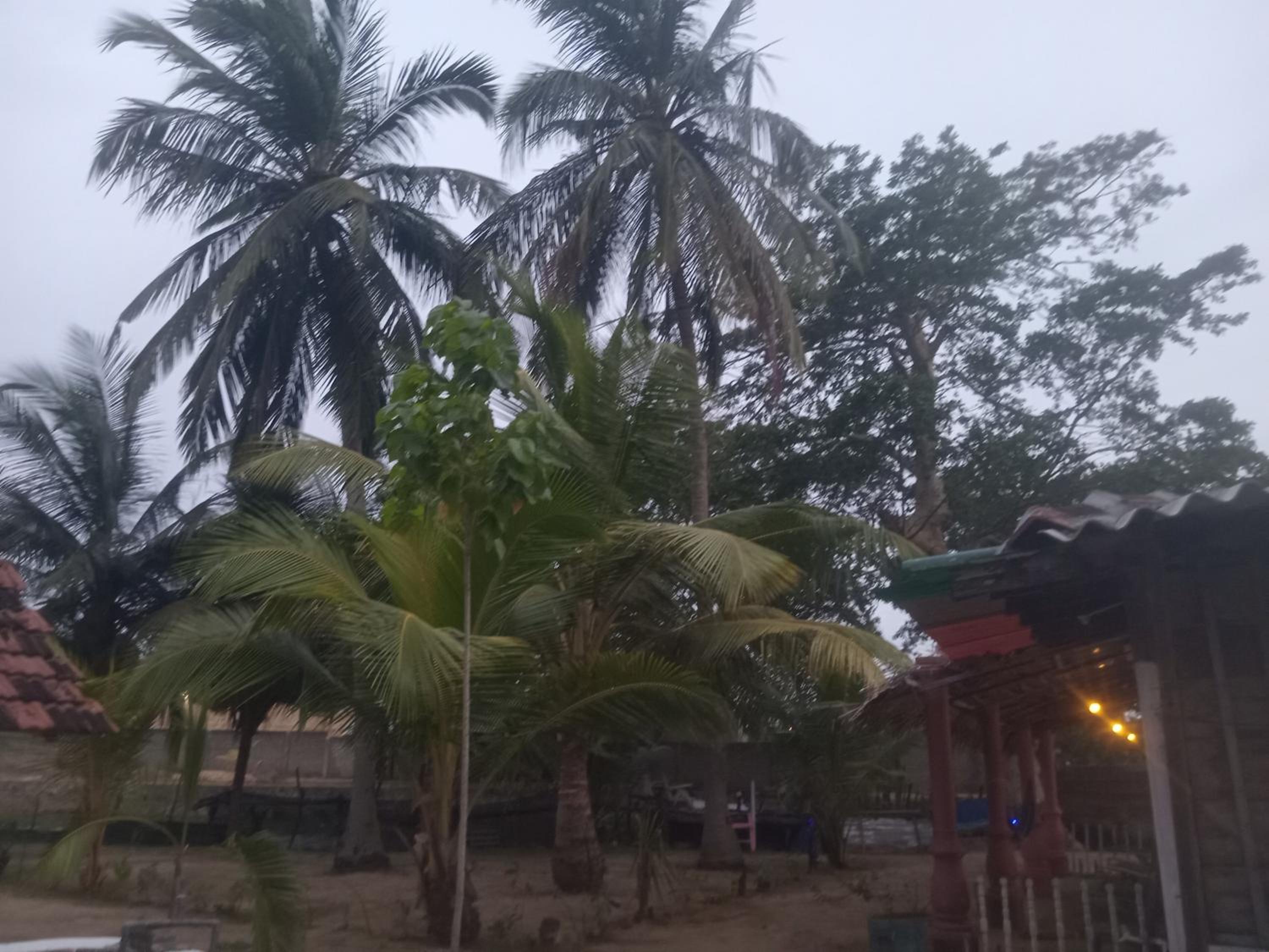 Riverpark Guesthouse Arugambay