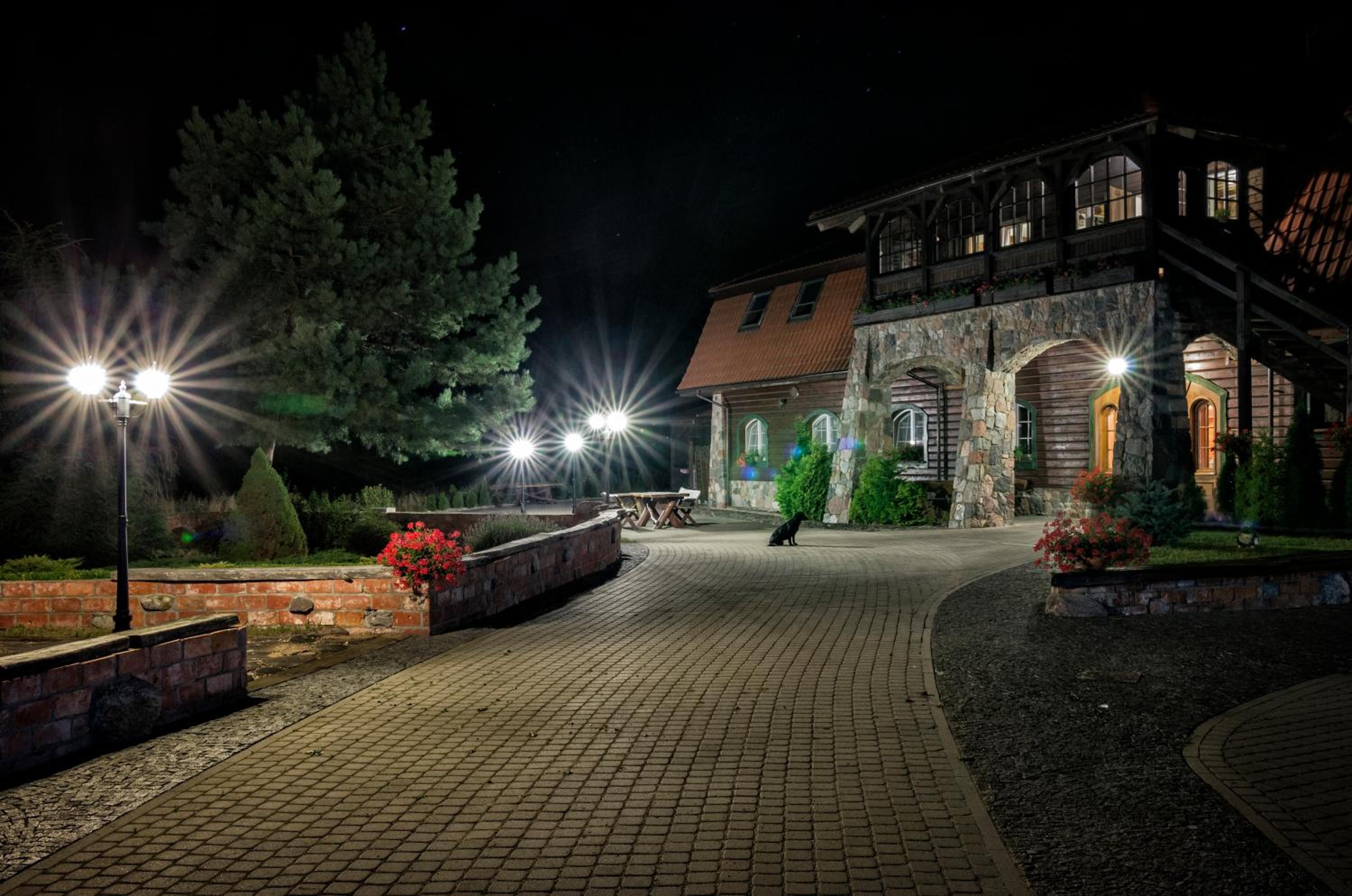 Photo 21
