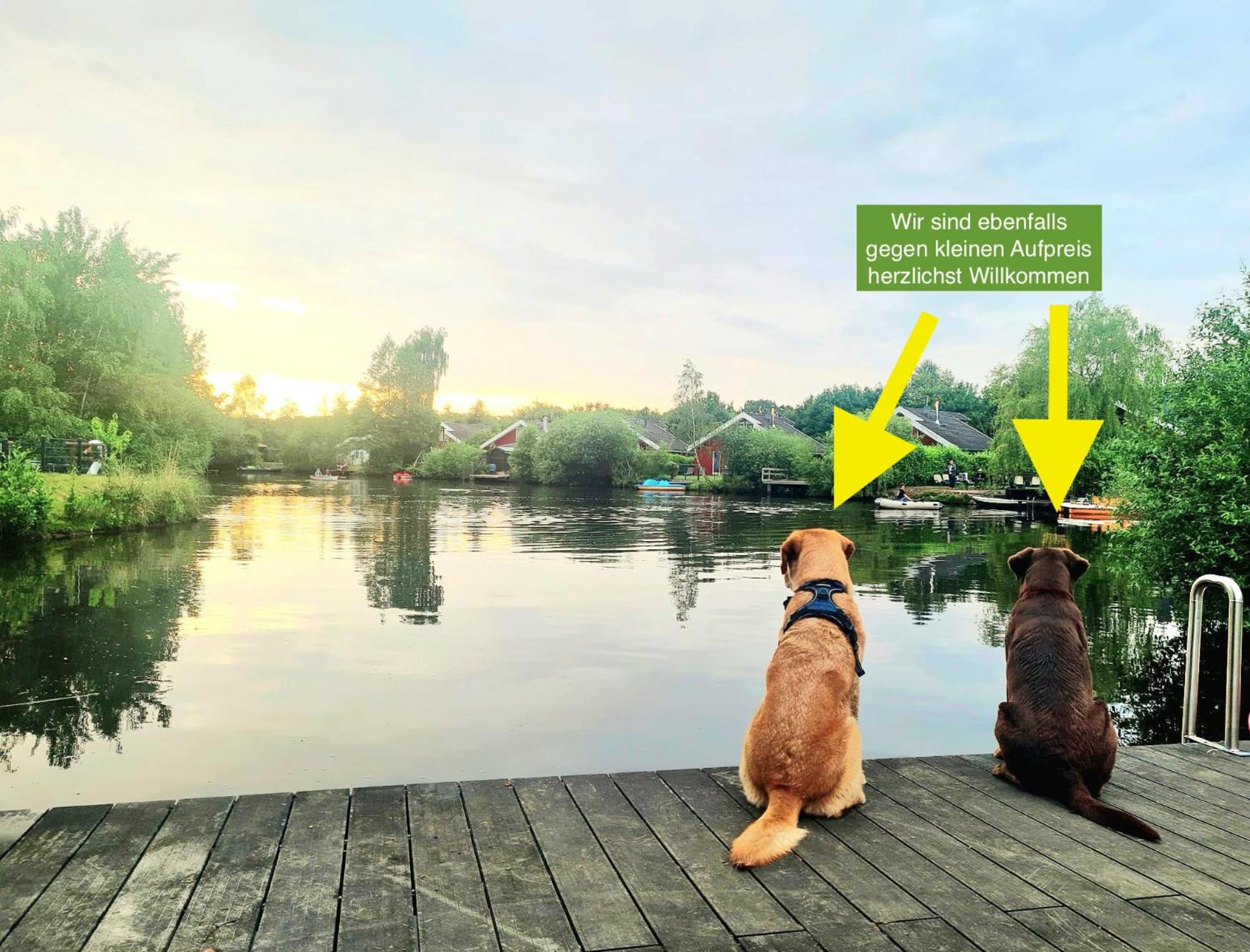 Ferienhaus Deluxe, direkt am See, mit hauseigener Panorama Außensauna, zwei Badezimmern, Tretboot, Kamin, in direkter nähe zum Kinderspieleparadies sowie R