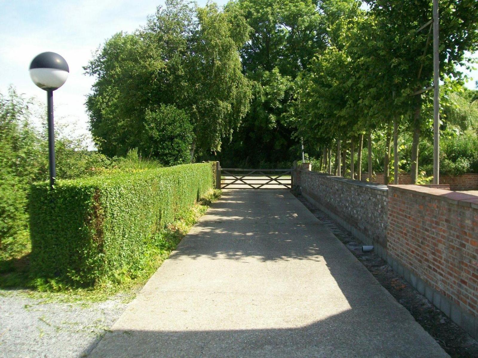 Photo 41