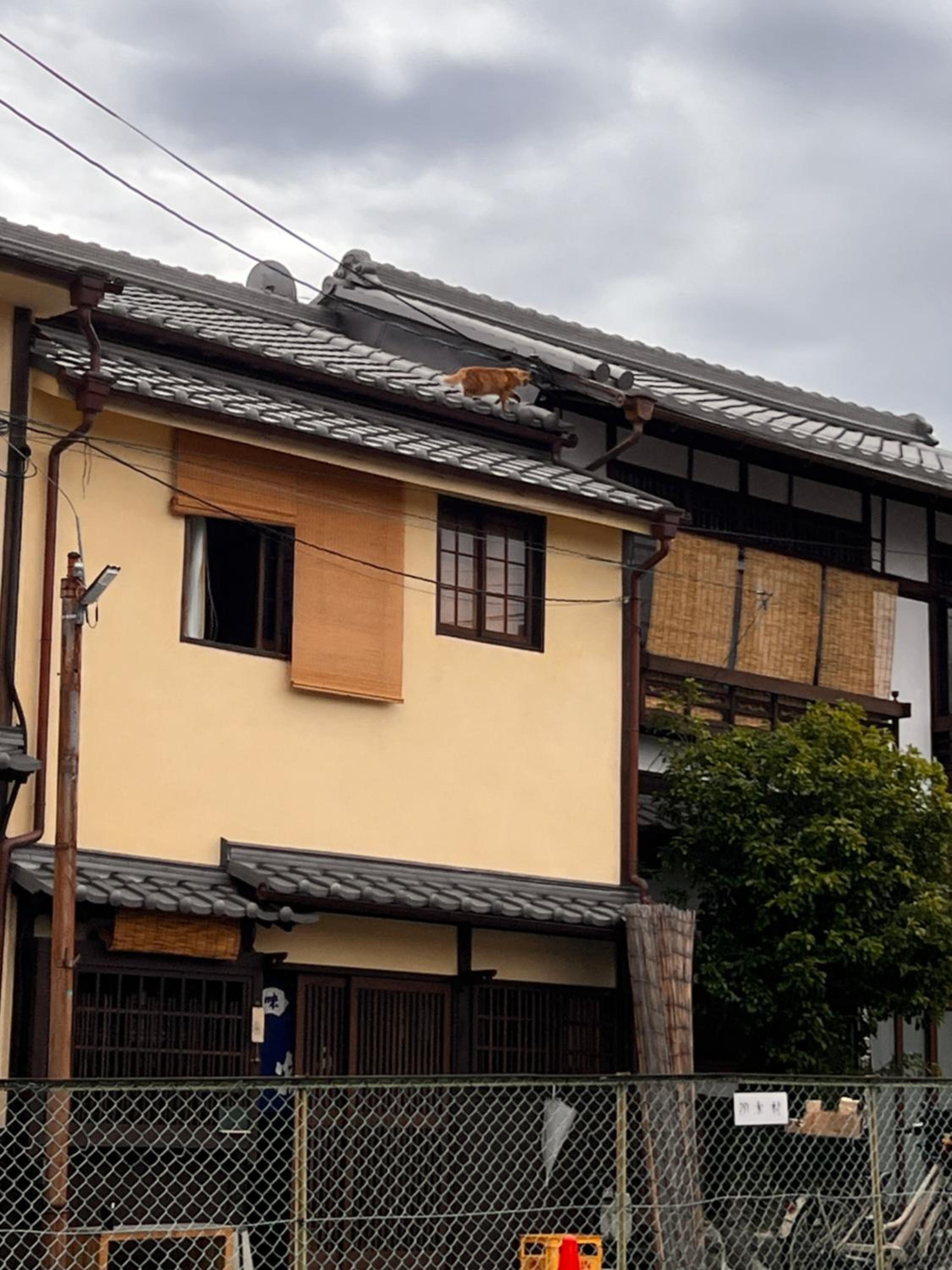 Dormitory Omitsu