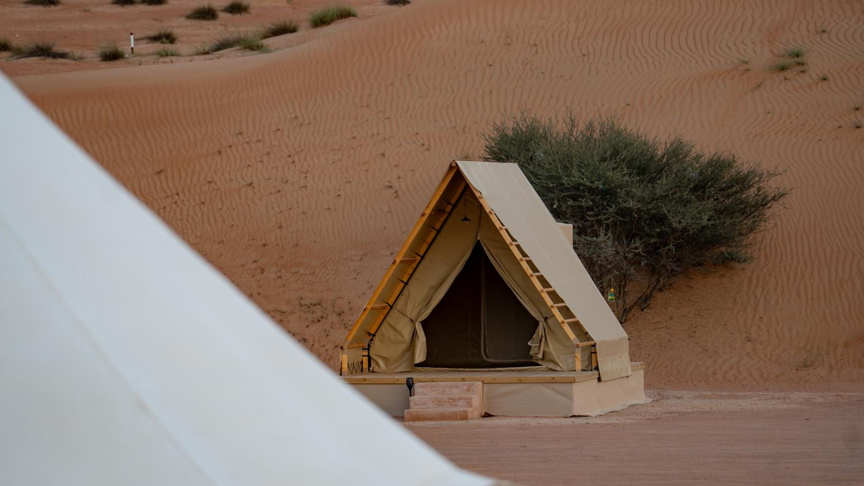 Adventurer Camp