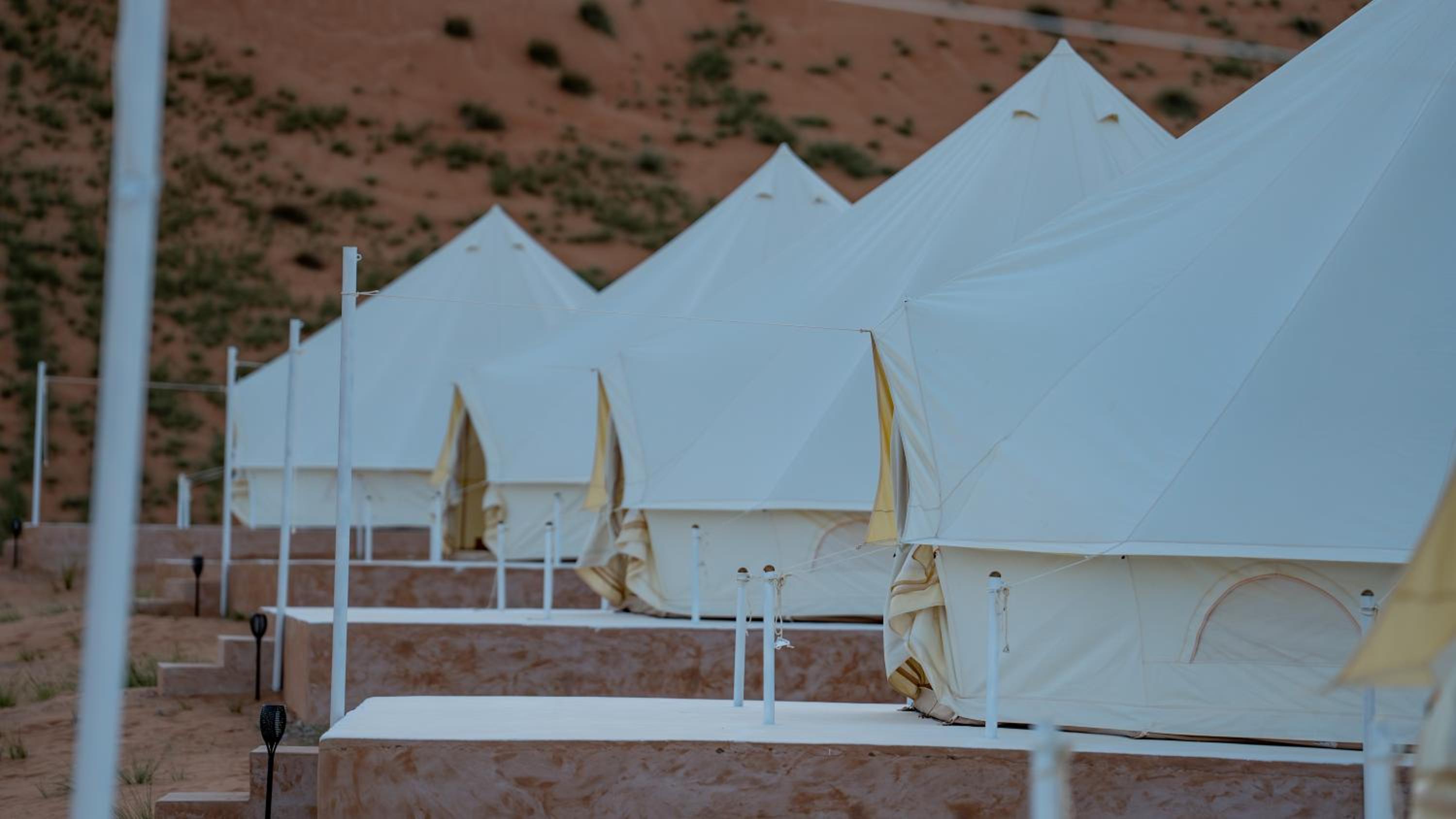 Adventurer Camp