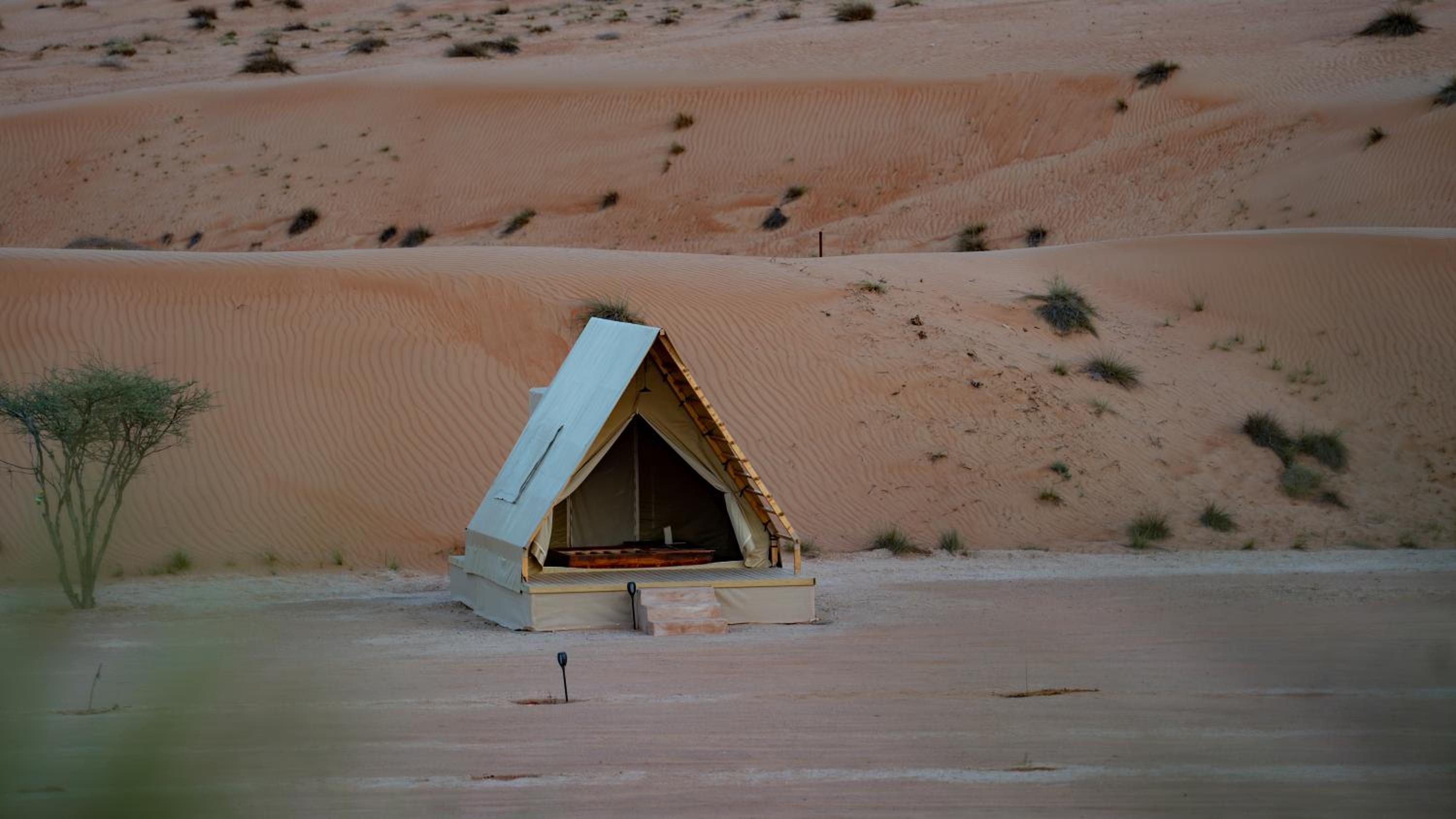 Adventurer Camp