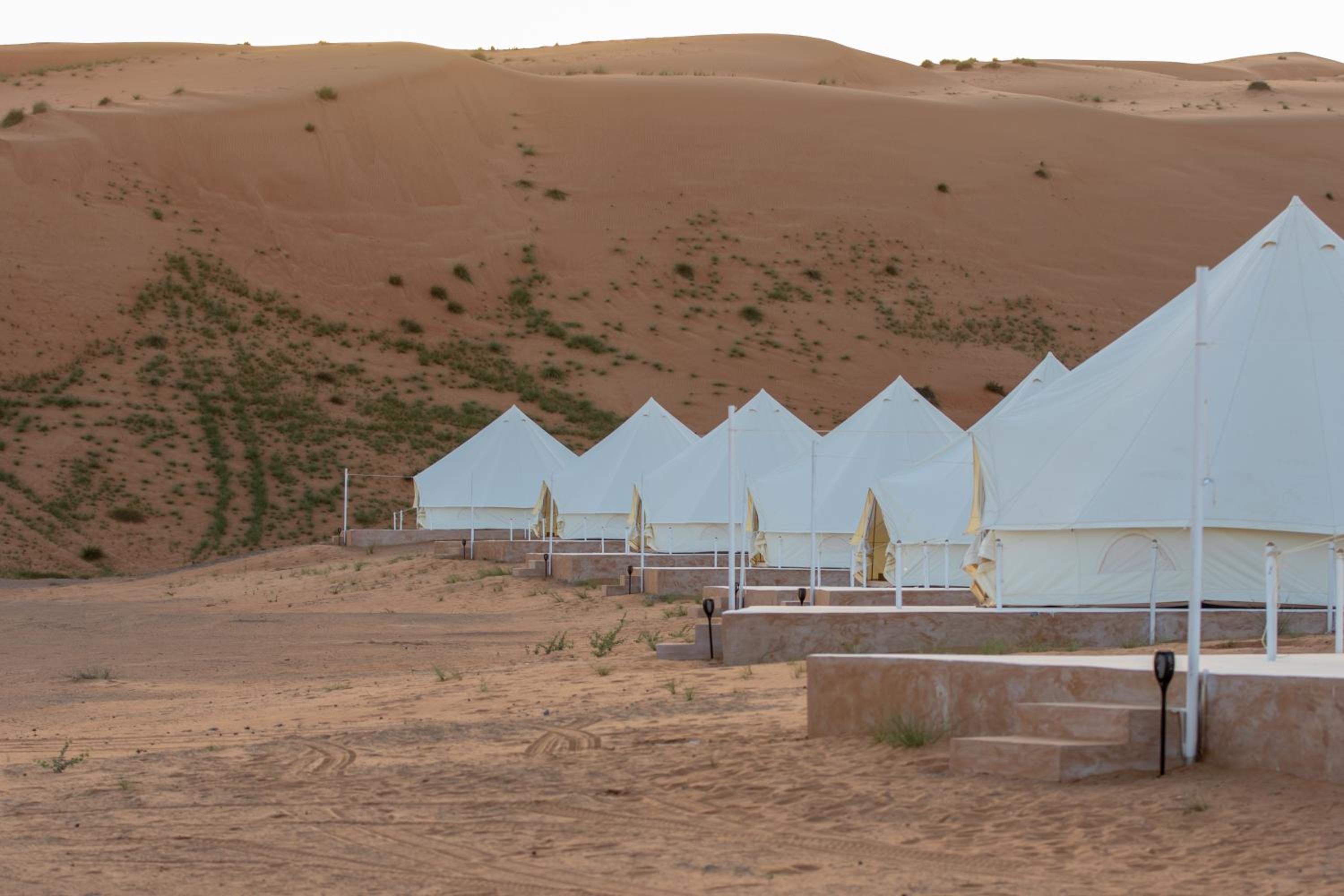 Adventurer Camp