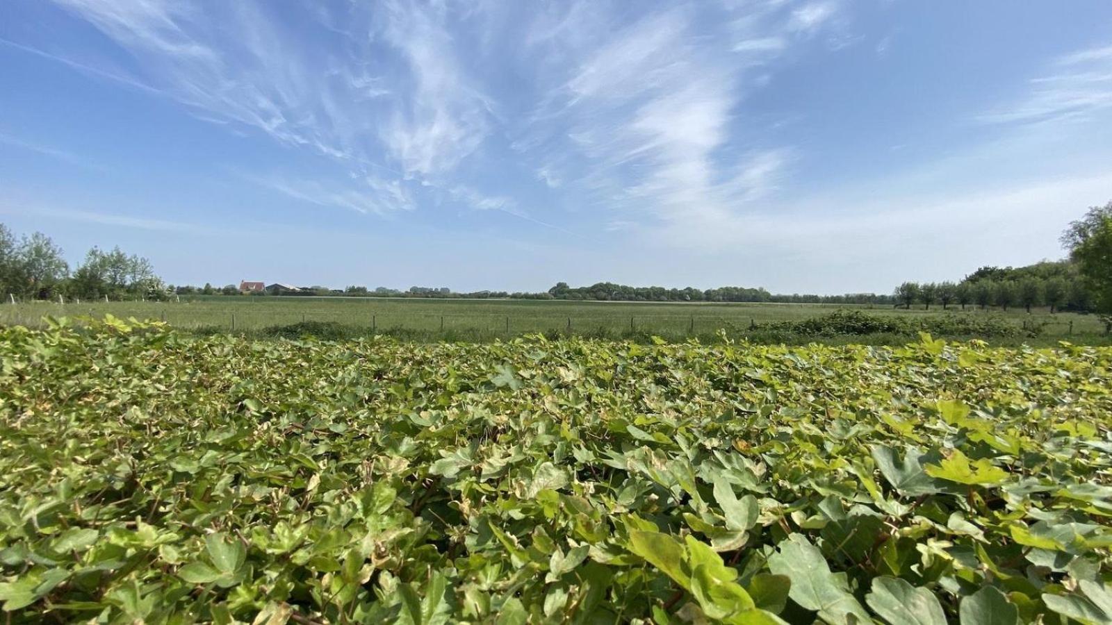 VZ832 Vakantiewoning Oostkapelle