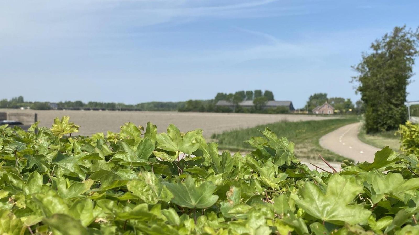 VZ832 Vakantiewoning Oostkapelle
