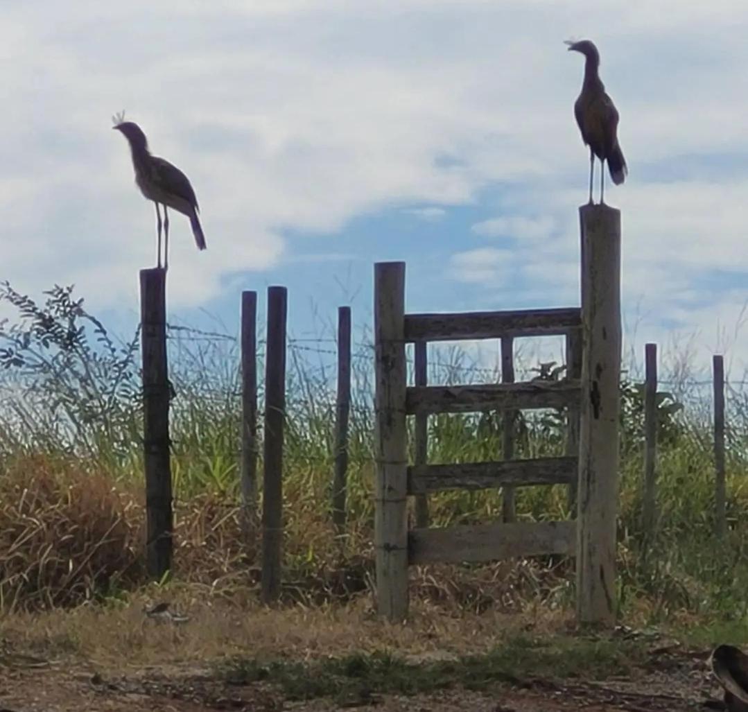 RANCHO PARAISO PARAISO do ZIRINHO