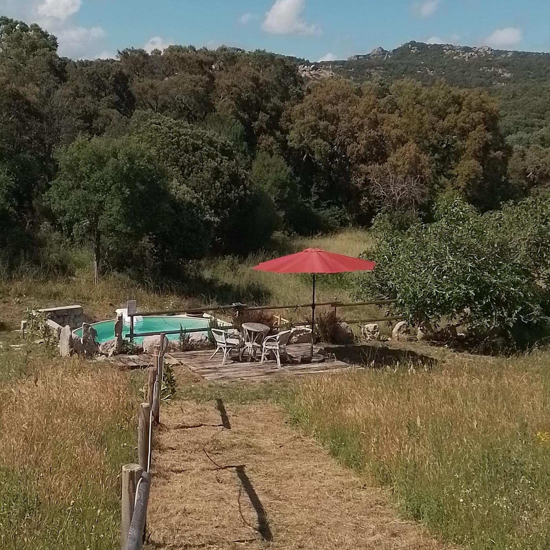 Eco Lodge nella natura Con Piscina privata "La Grande Quercia" view 4