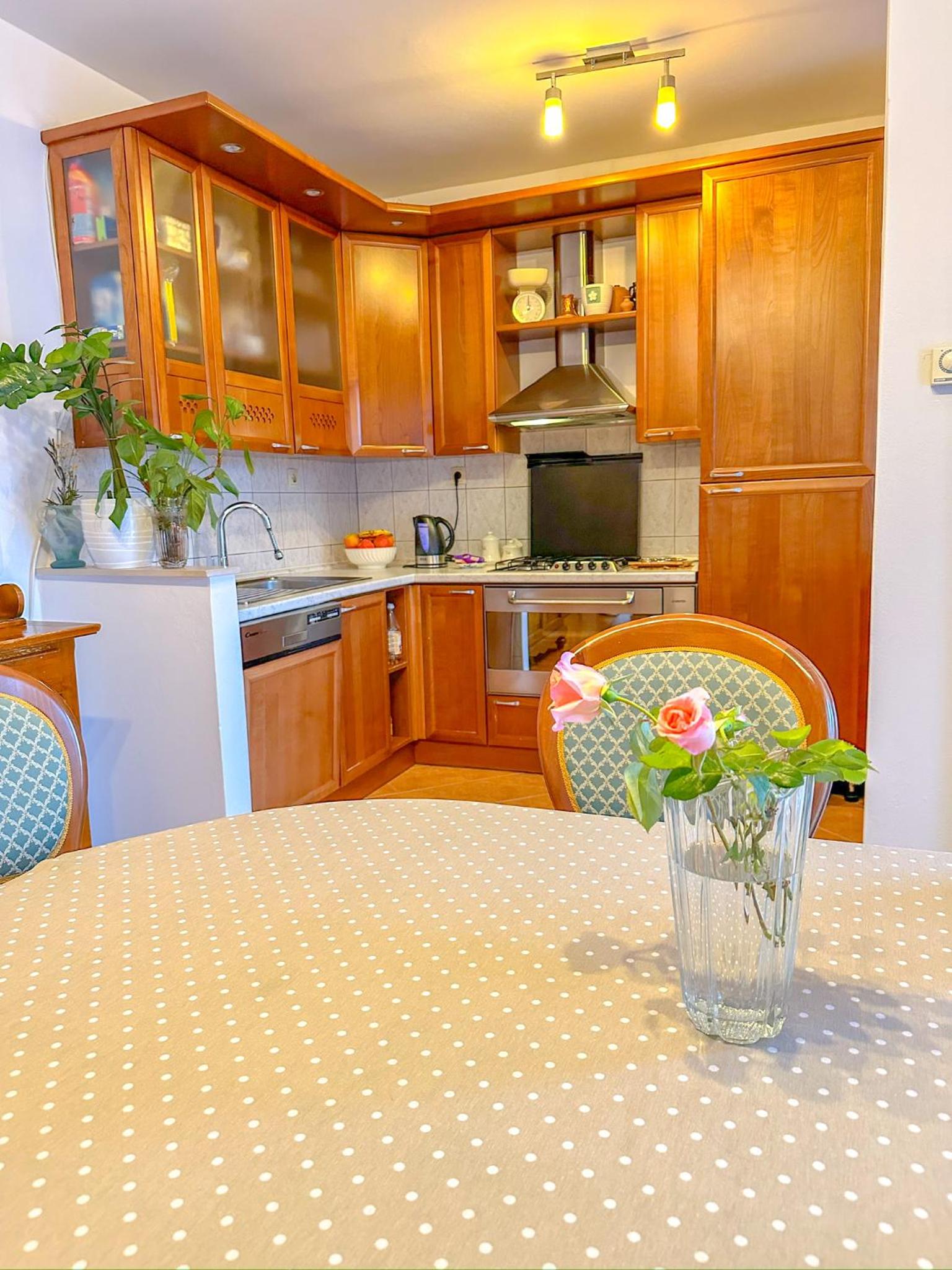 Holiday Home Privlaka - 200m from the sea view 4