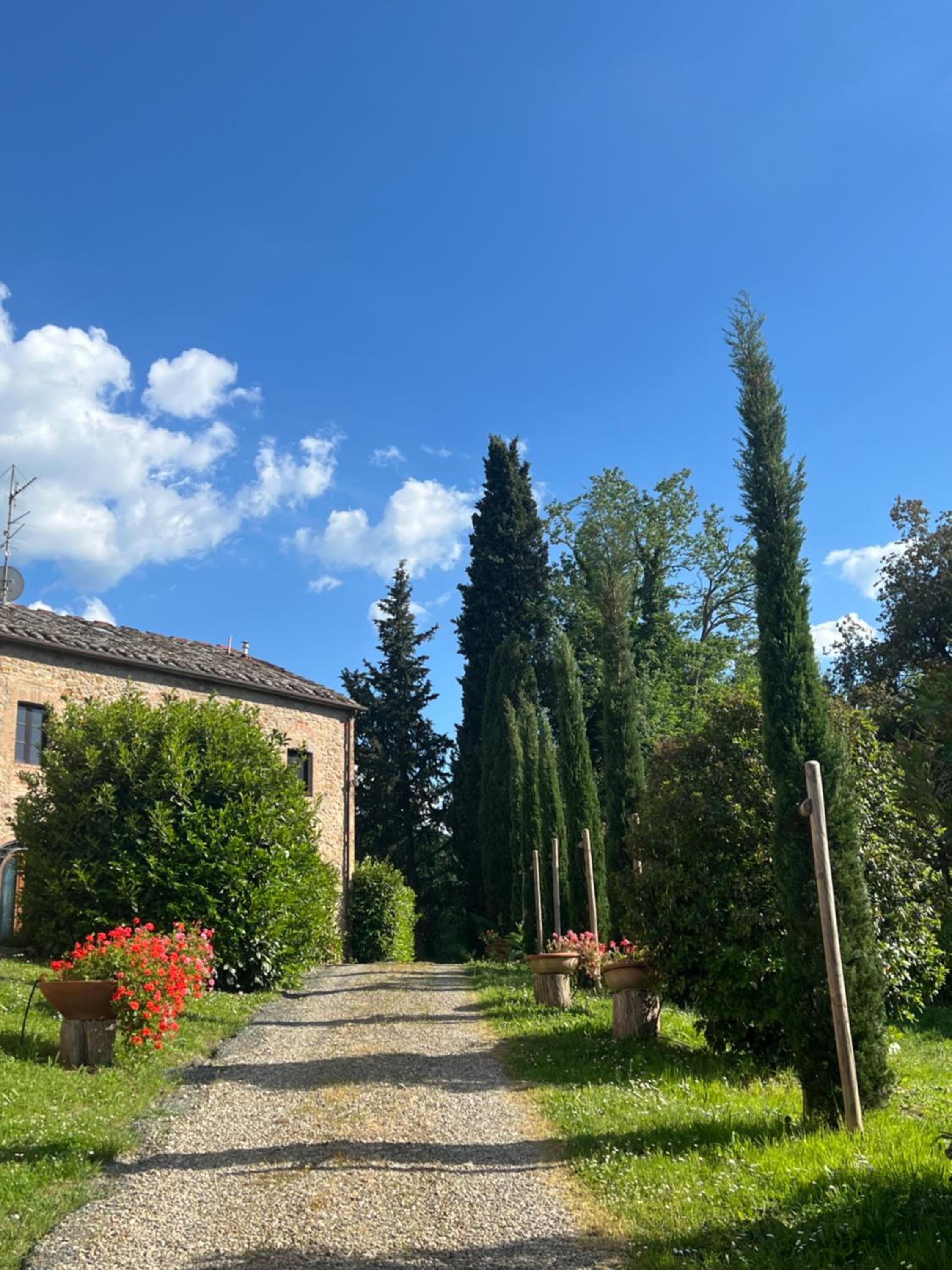 Agriturismo Podere Cortilla view 3