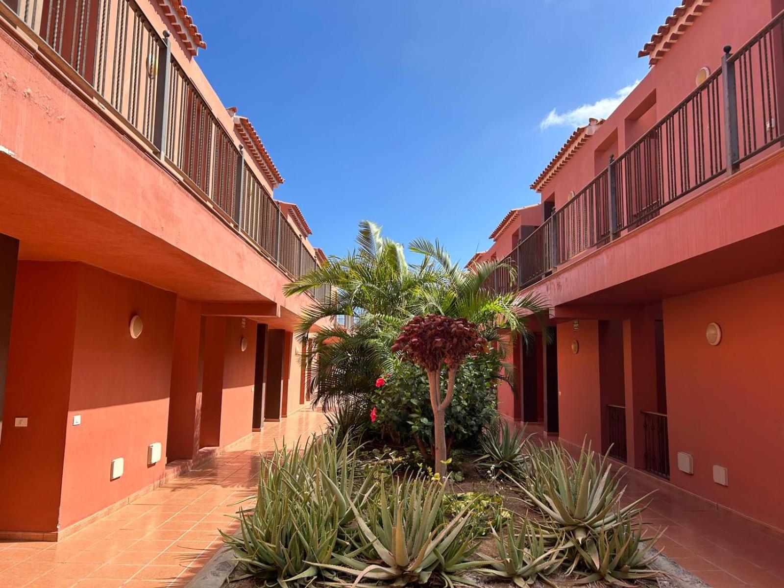 Sunny Silencio Retreat Atlantico