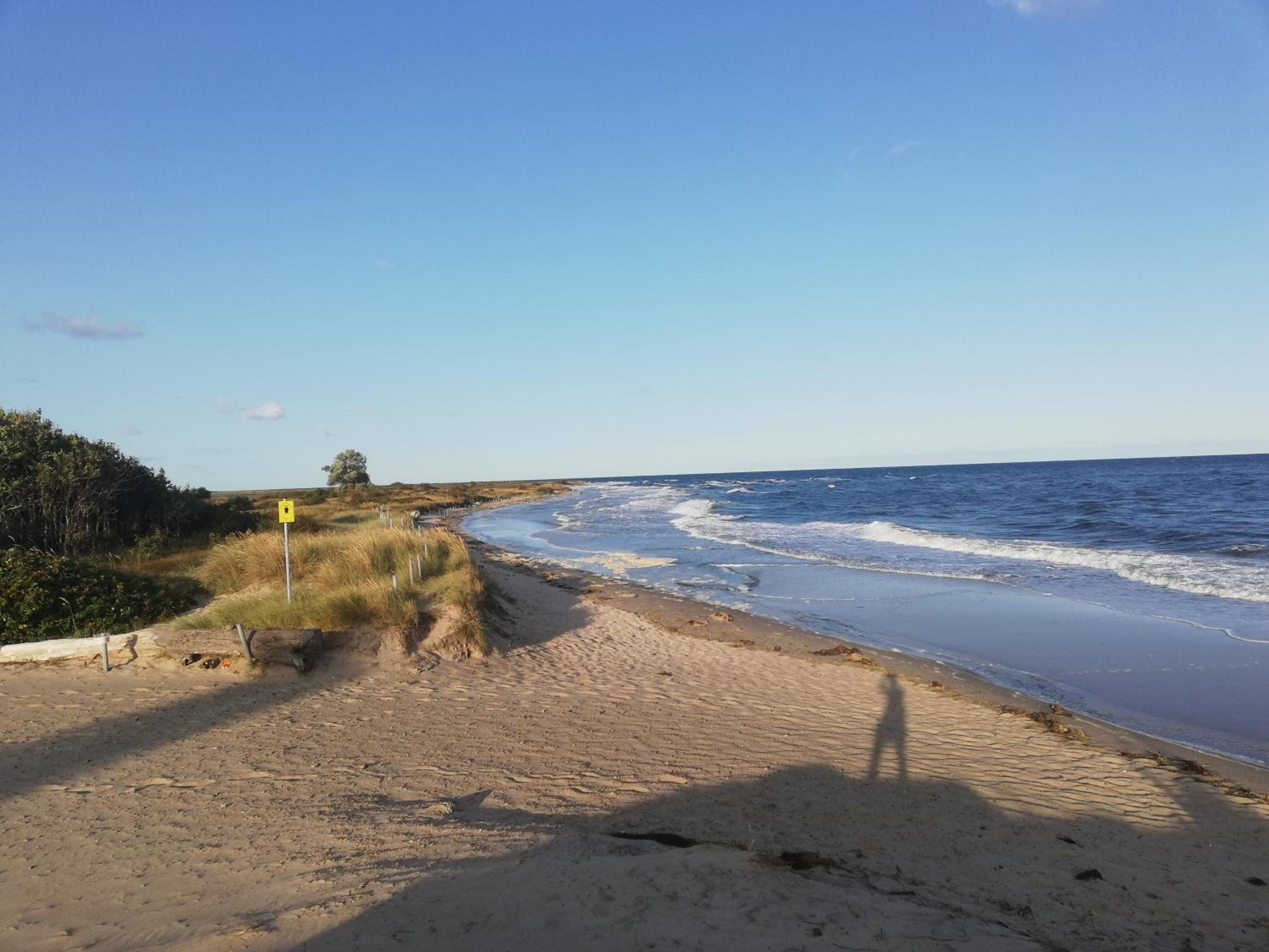 STRANDNAH STRANDLÖWE KÜHLUNGSBORN Ostsee