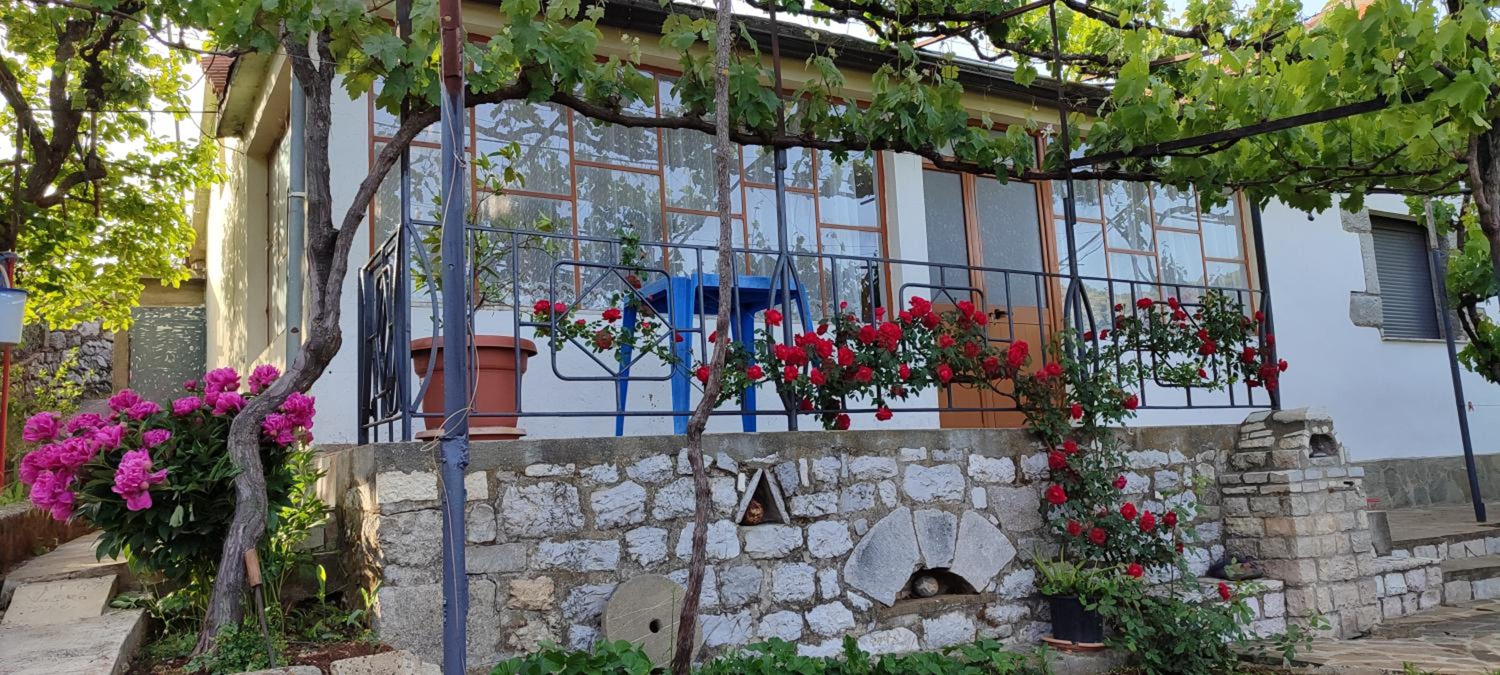 House in Leskovik photo 4