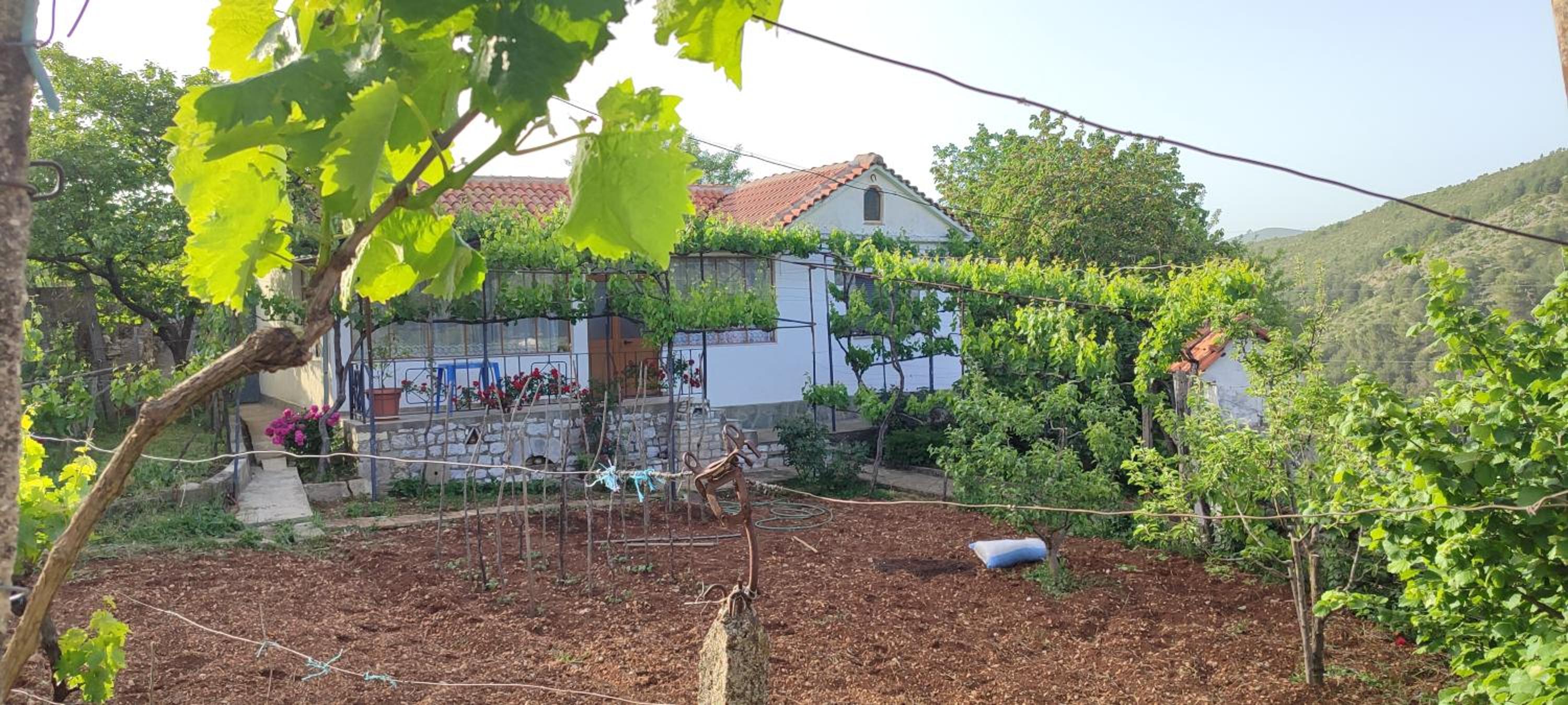 House in Leskovik photo 5