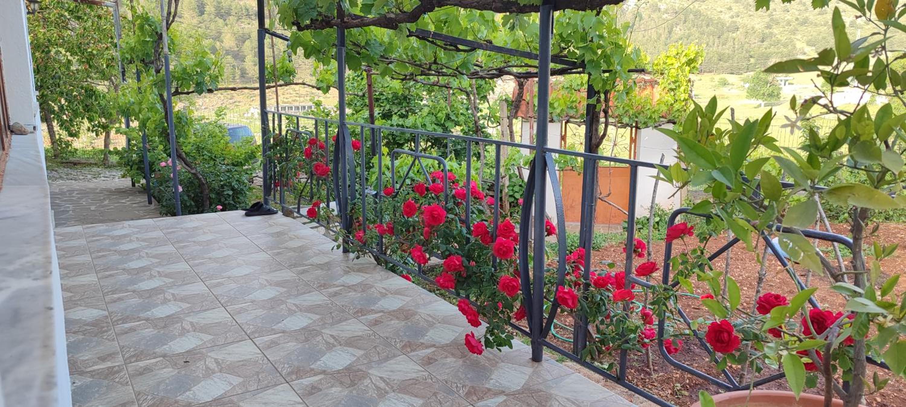 House in Leskovik photo 2