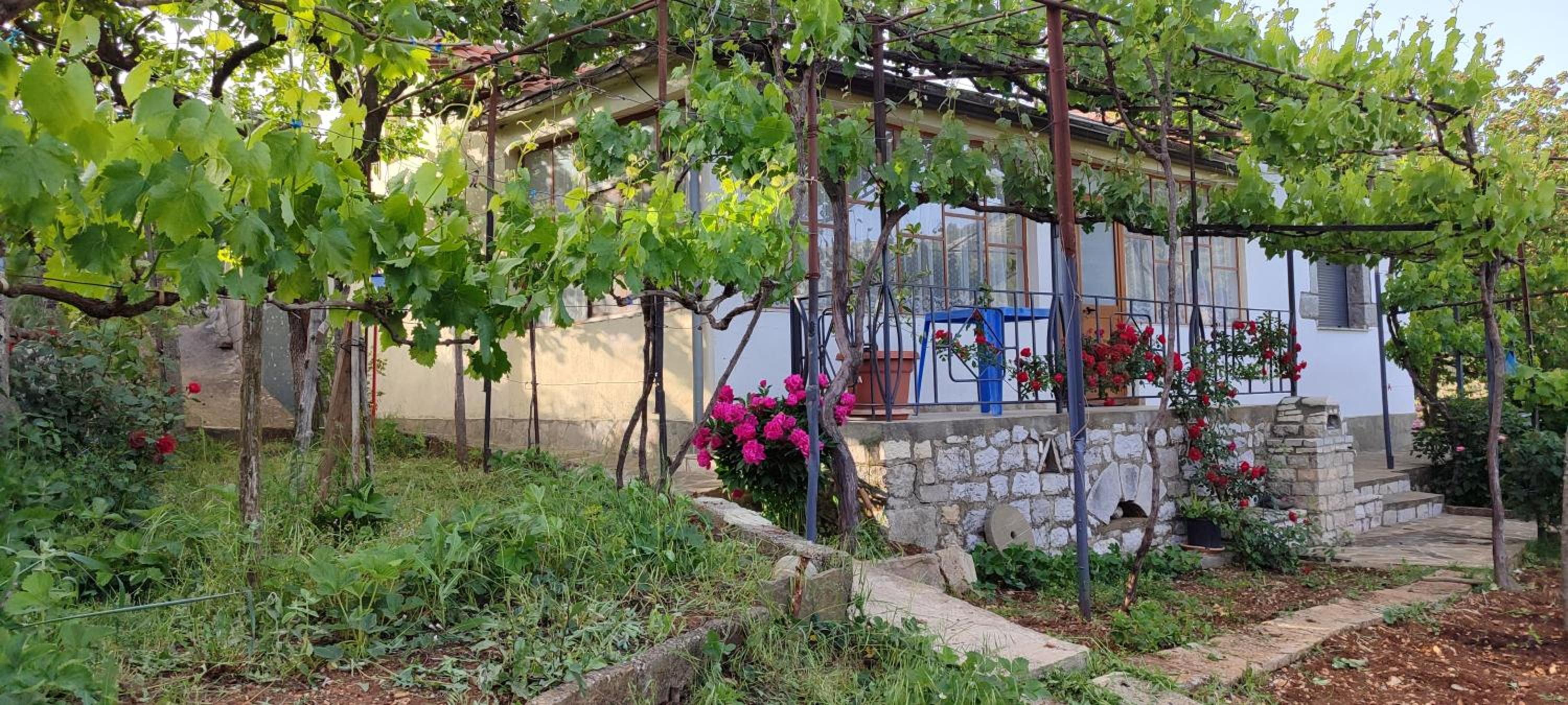 House in Leskovik photo 3