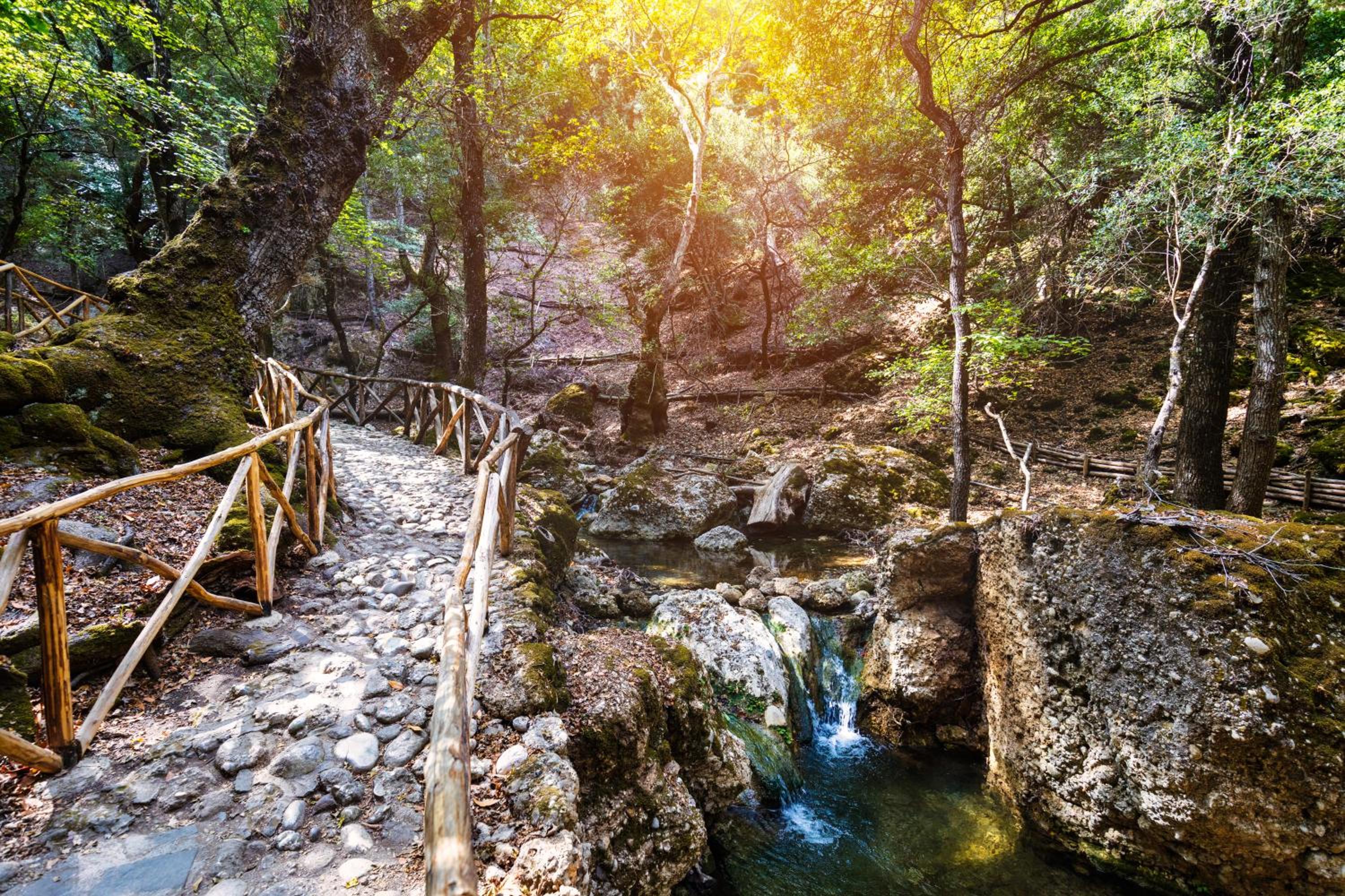 Photo 27