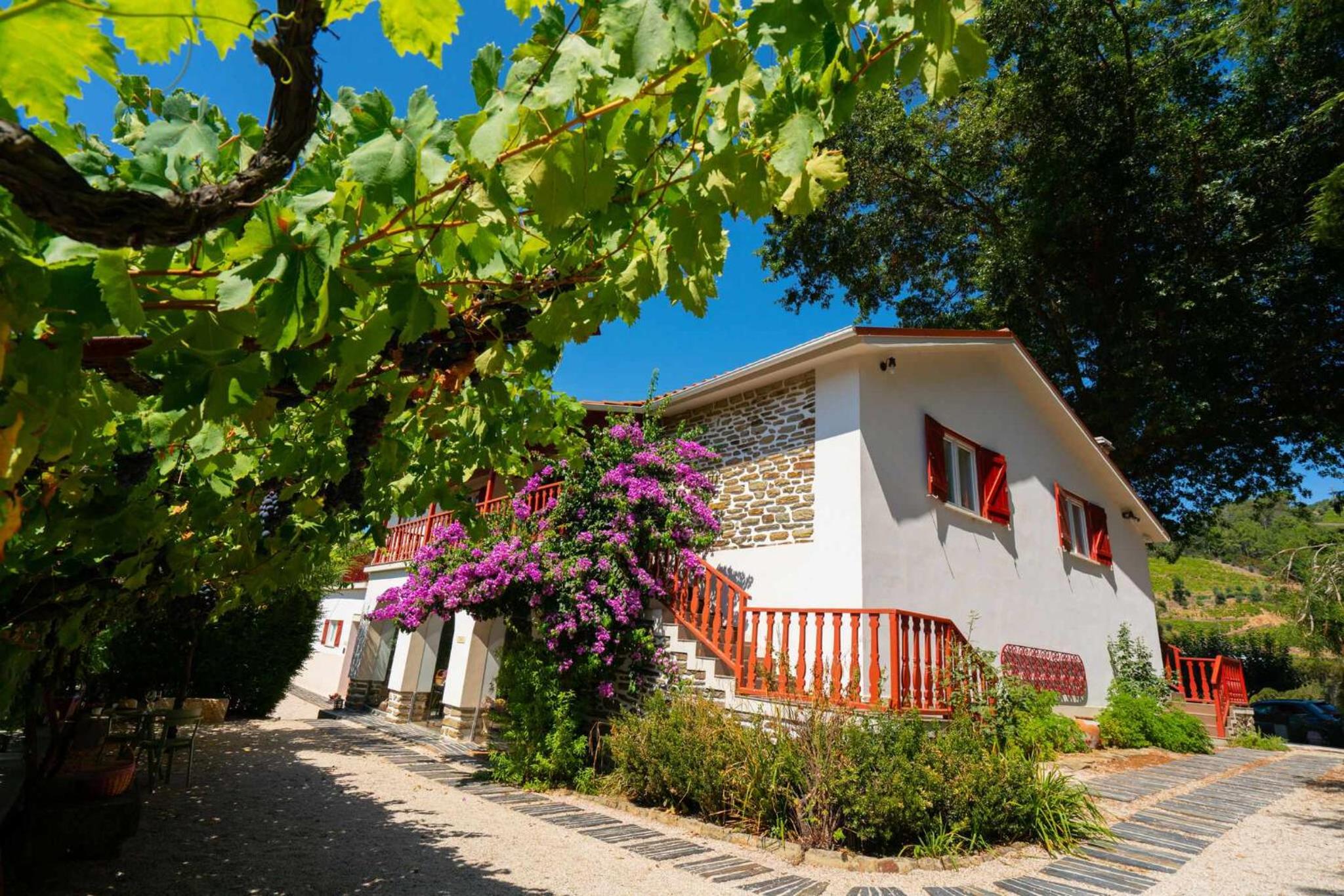 Hotel Quinta da Pousada Casa de Campo - Image 1