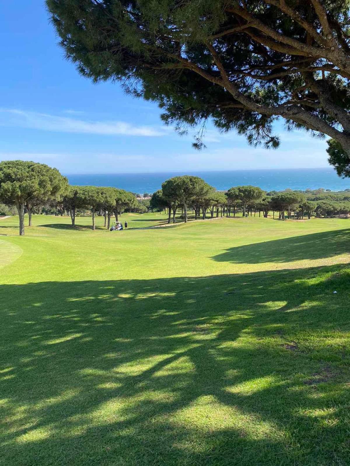 Golden Dreams of Marbella