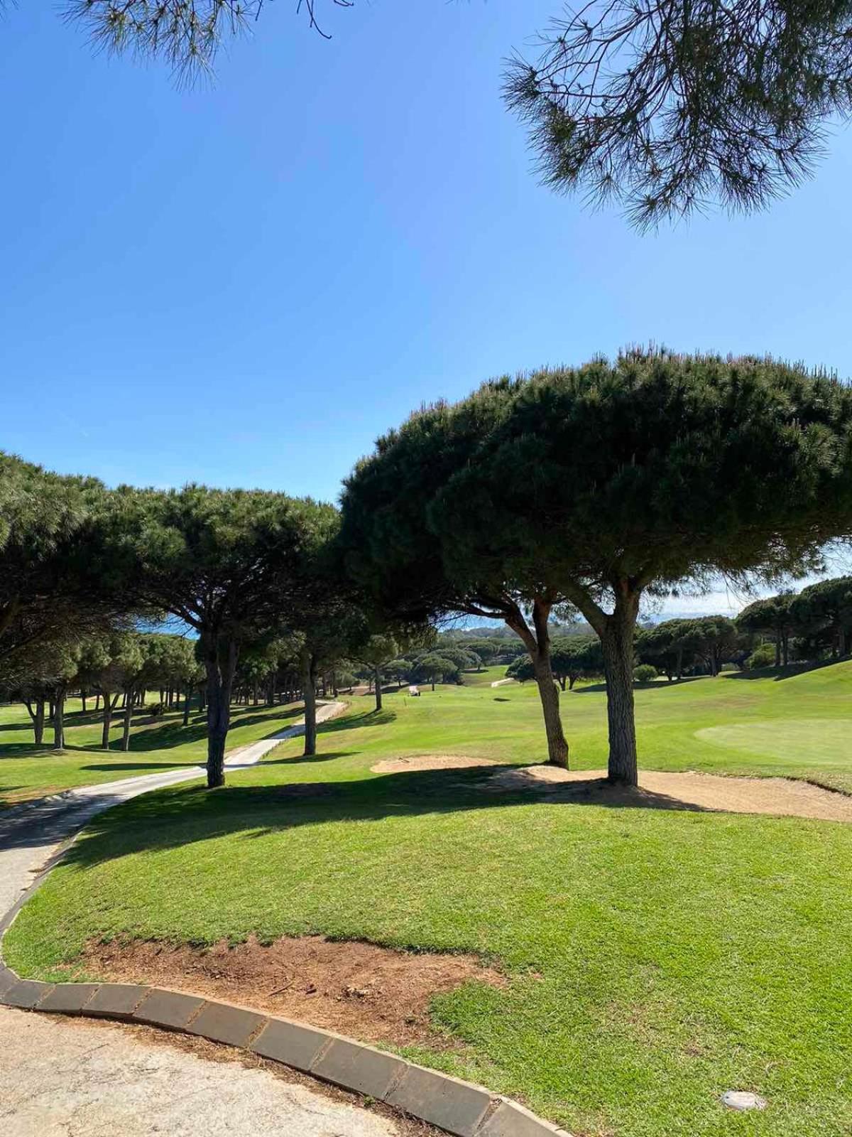 Golden Dreams of Marbella