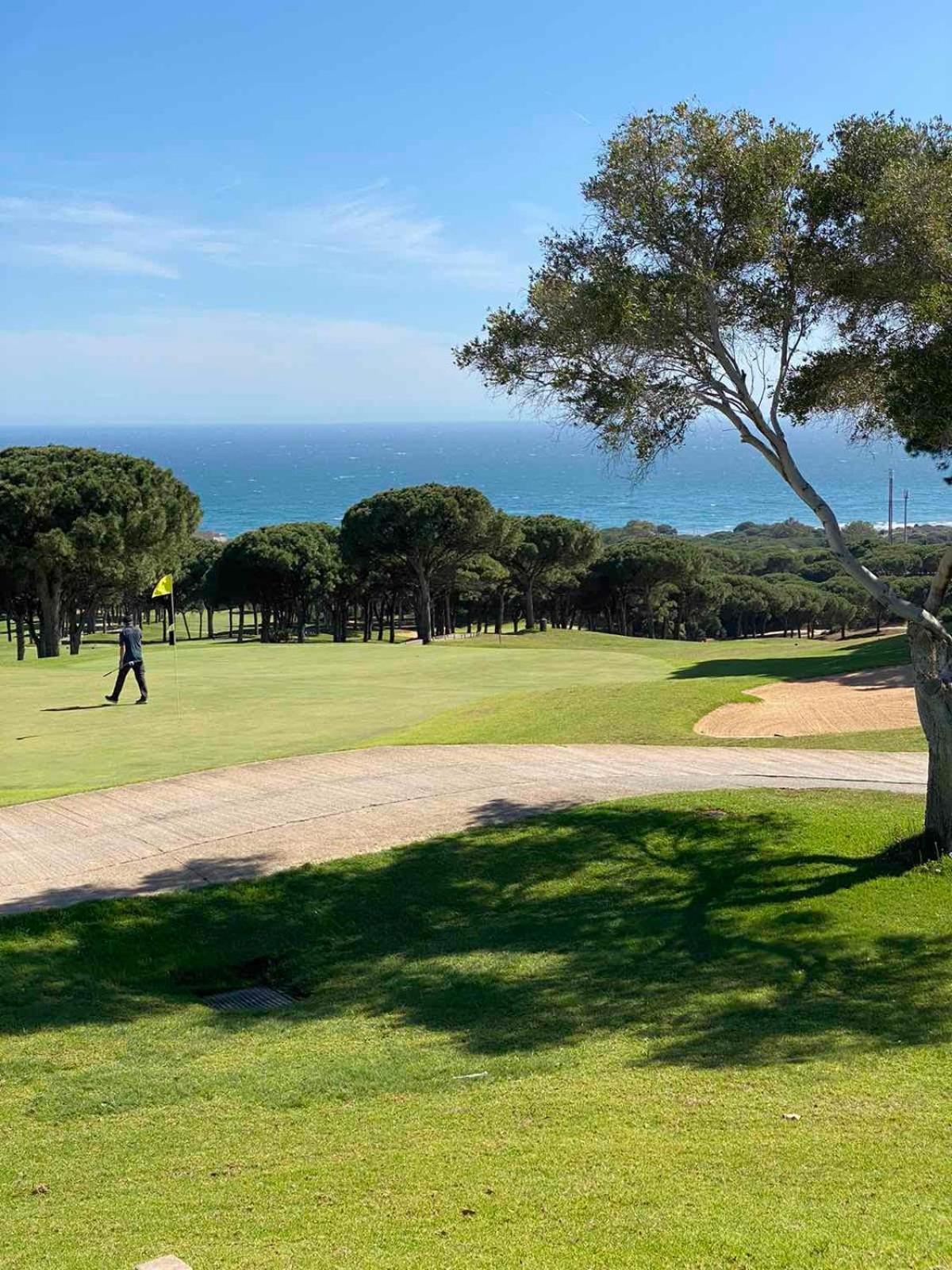 Golden Dreams of Marbella