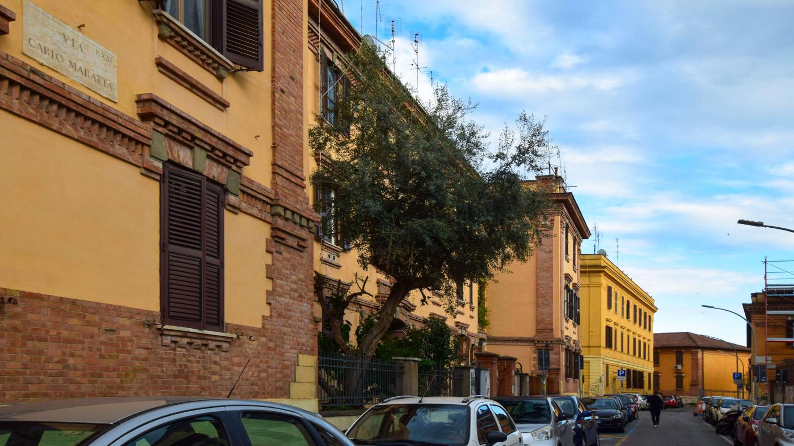 Roma Saba Home
