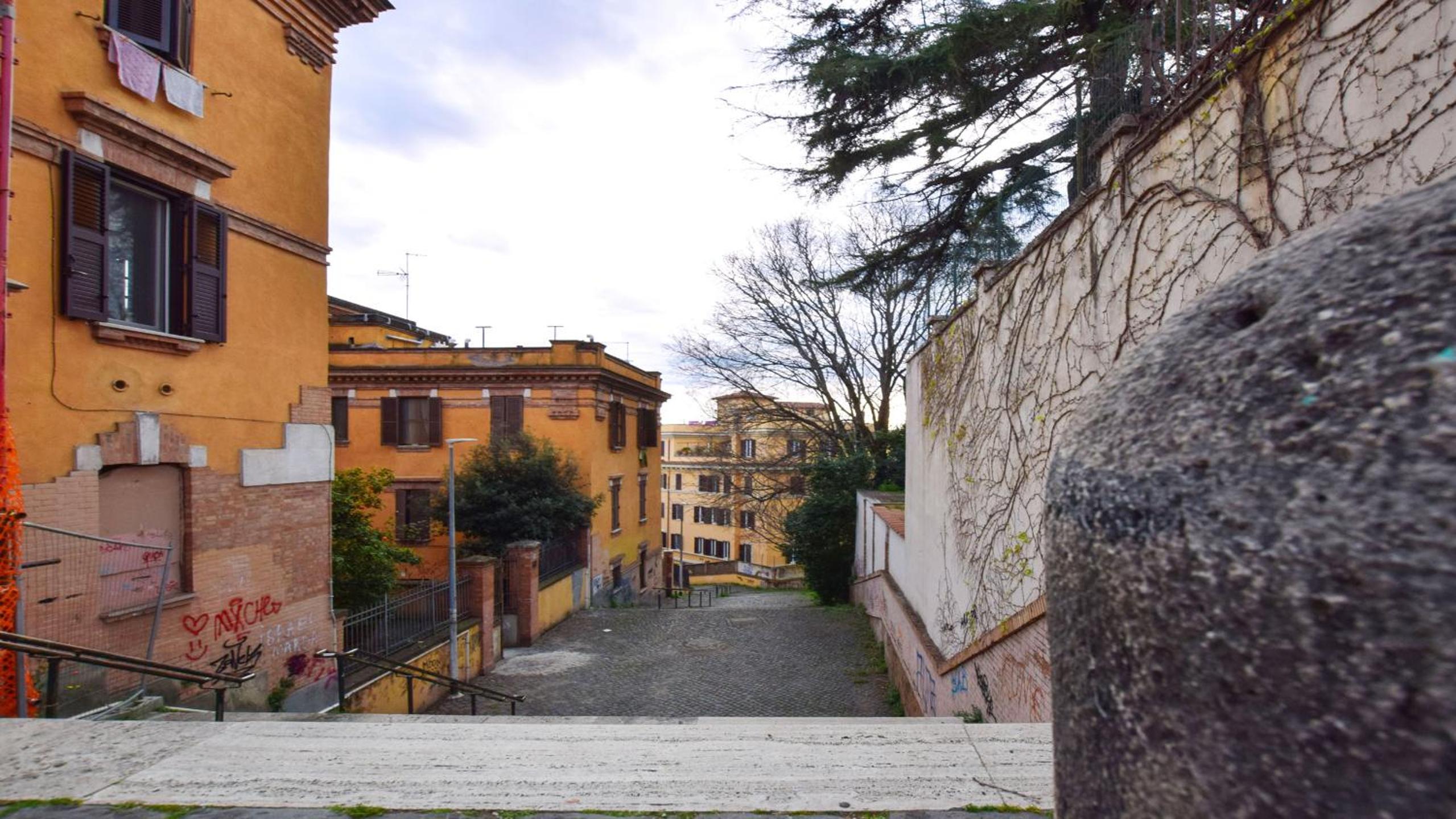 Roma Saba Home