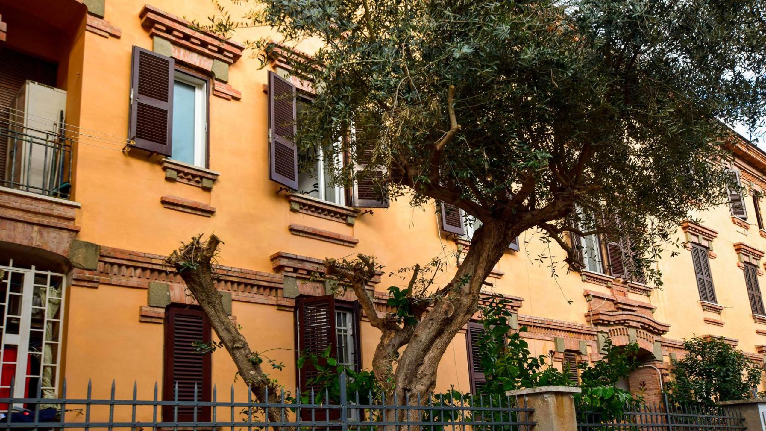 Roma Saba Home