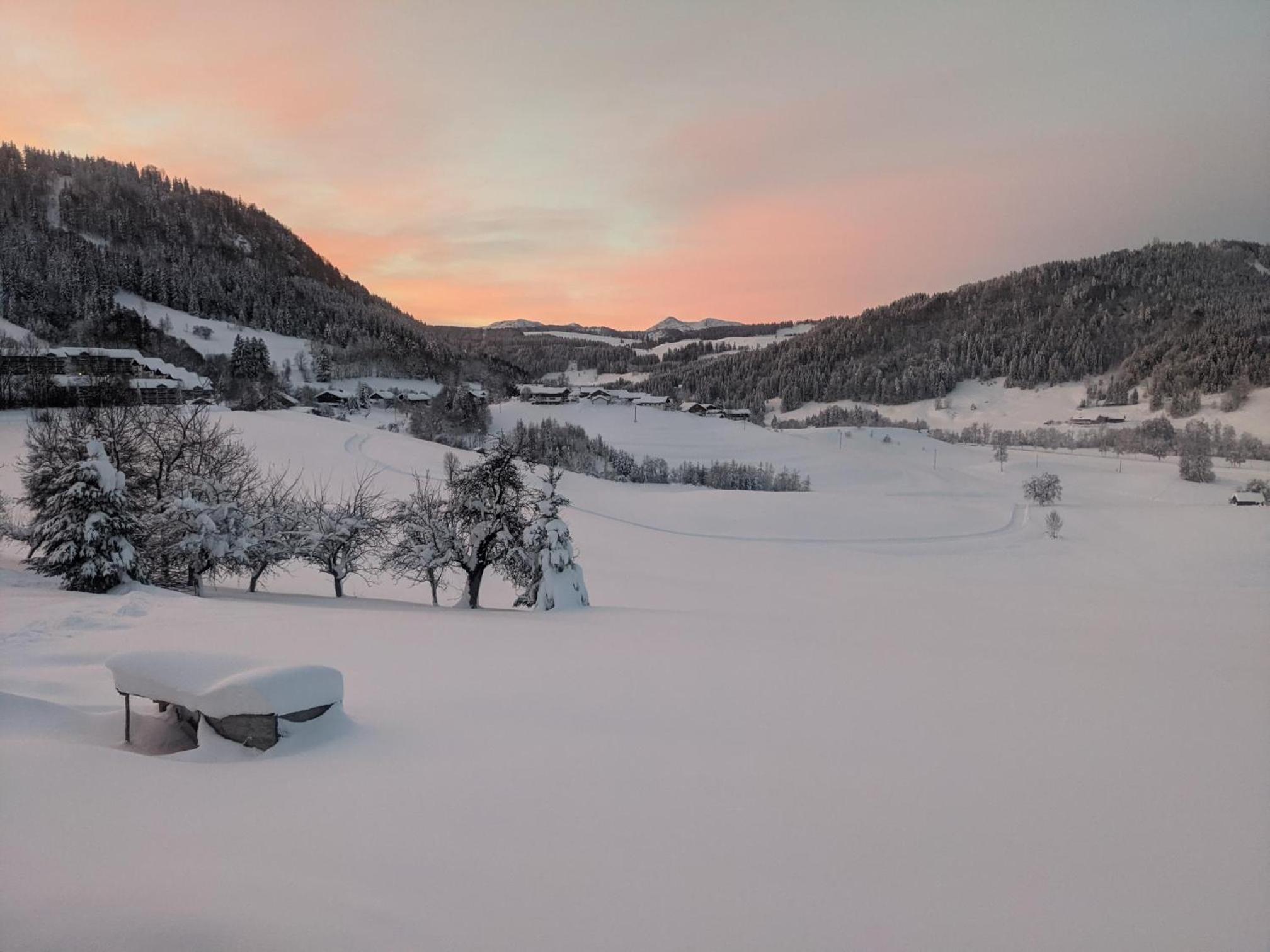 Ferienhof Rindalphorn mit Sauna in ländlicher Idylle