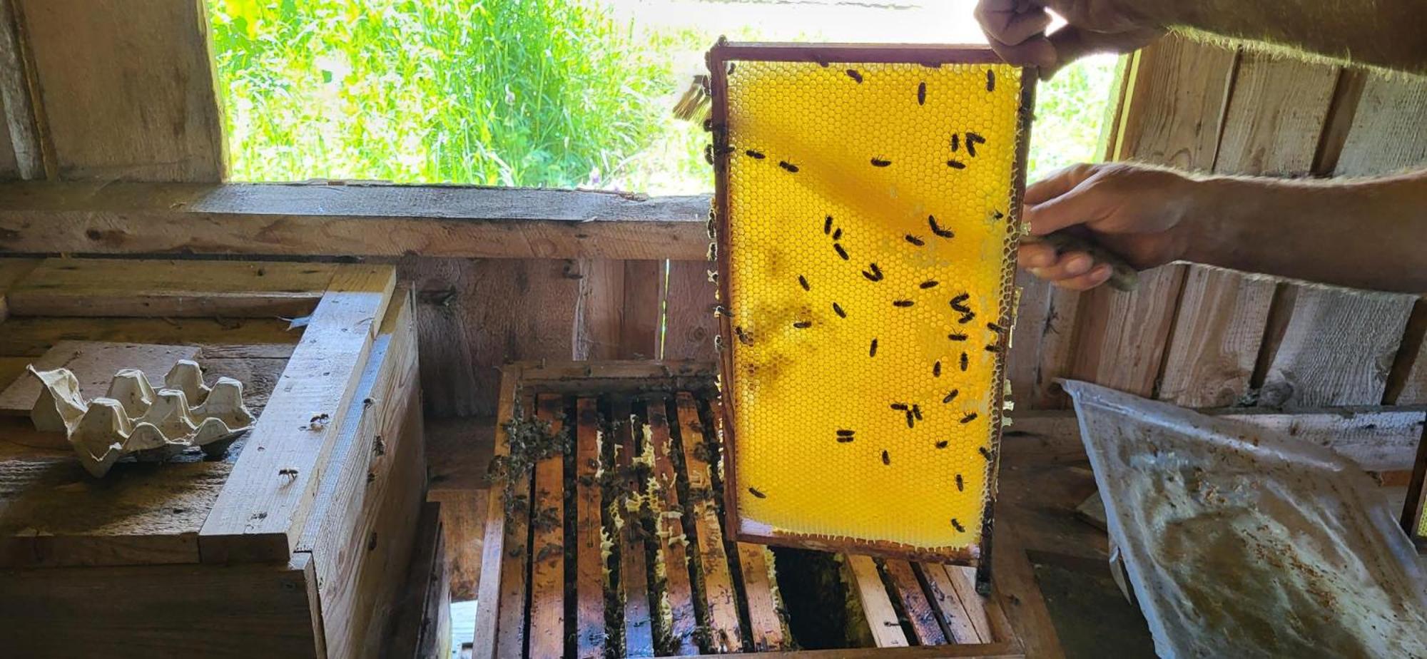 Ferienhof Rindalphorn mit Sauna in ländlicher Idylle
