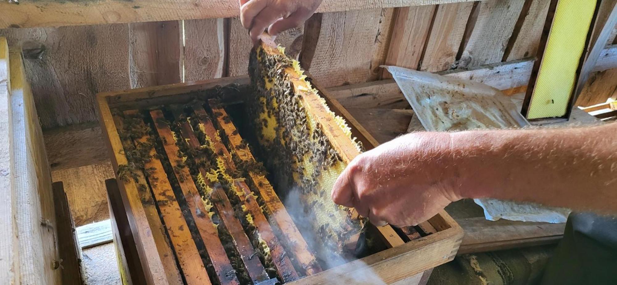 Ferienhof Rindalphorn mit Sauna in ländlicher Idylle