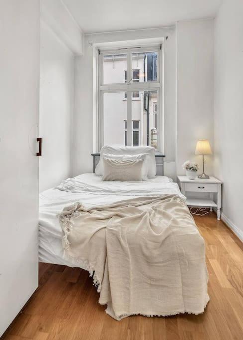 Kanskje den største Airbnb-leiligheten i sentrum! view 3