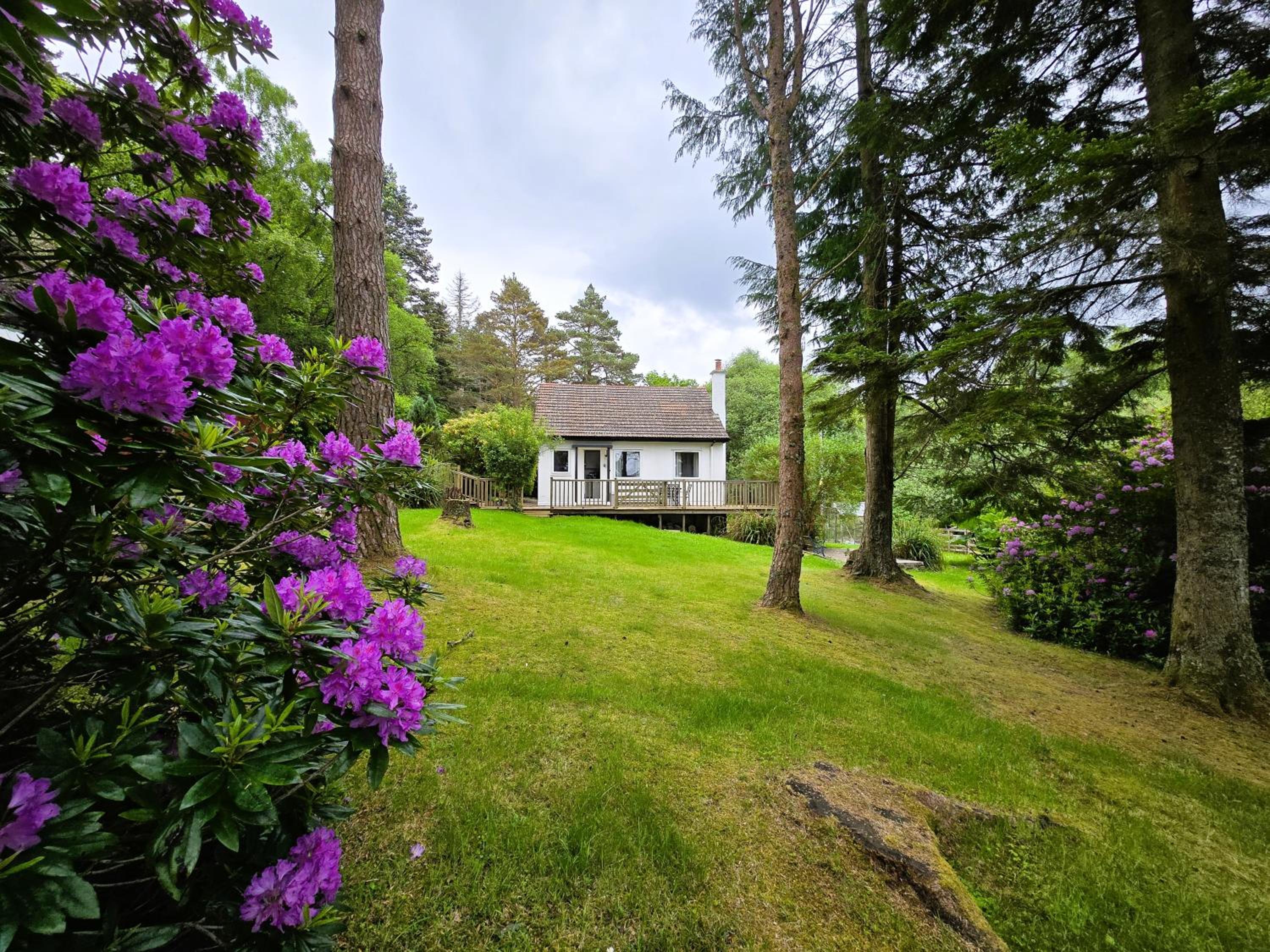 Photo 44