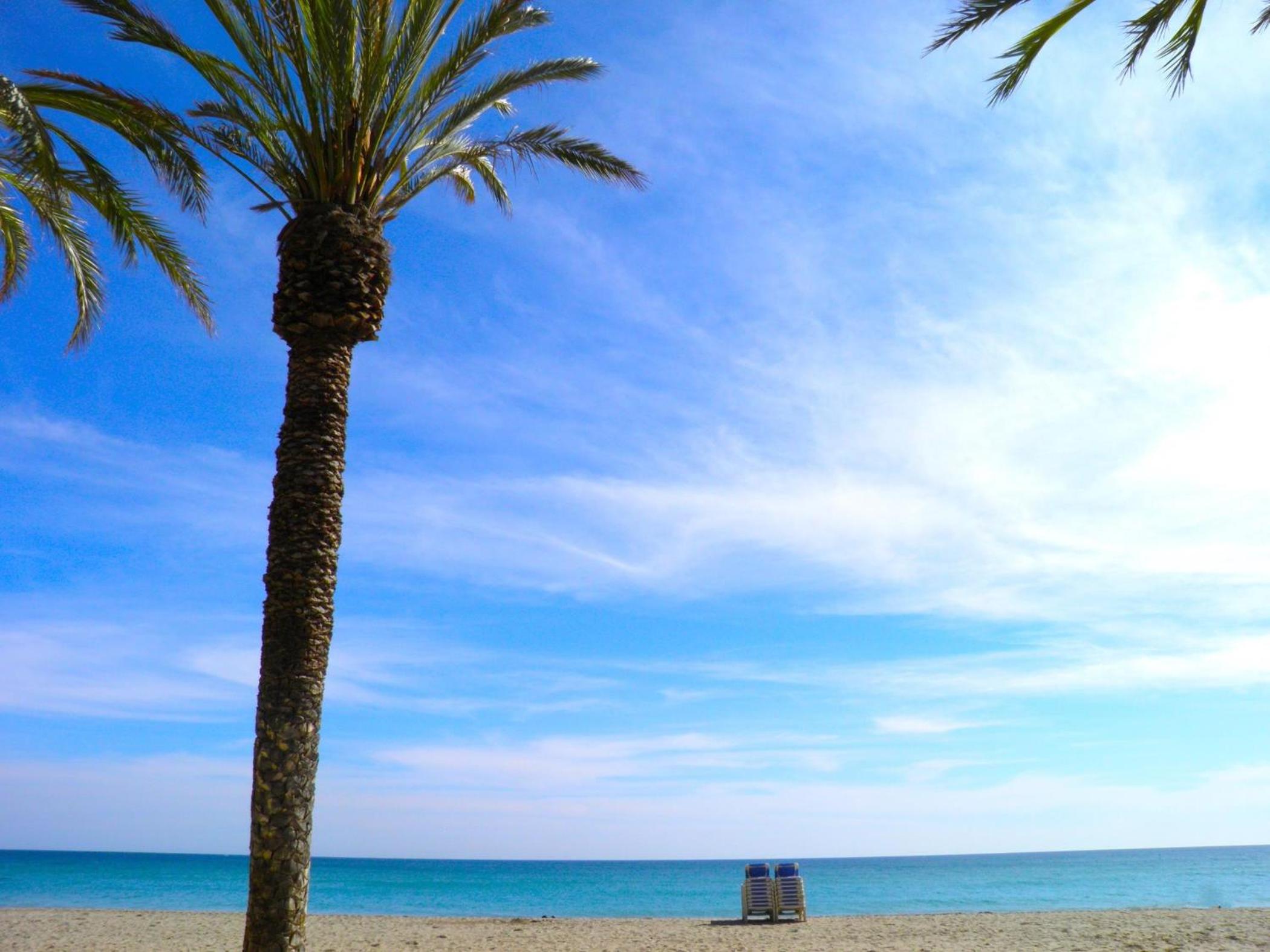 Suitur Apartamento duquesa playa piscina