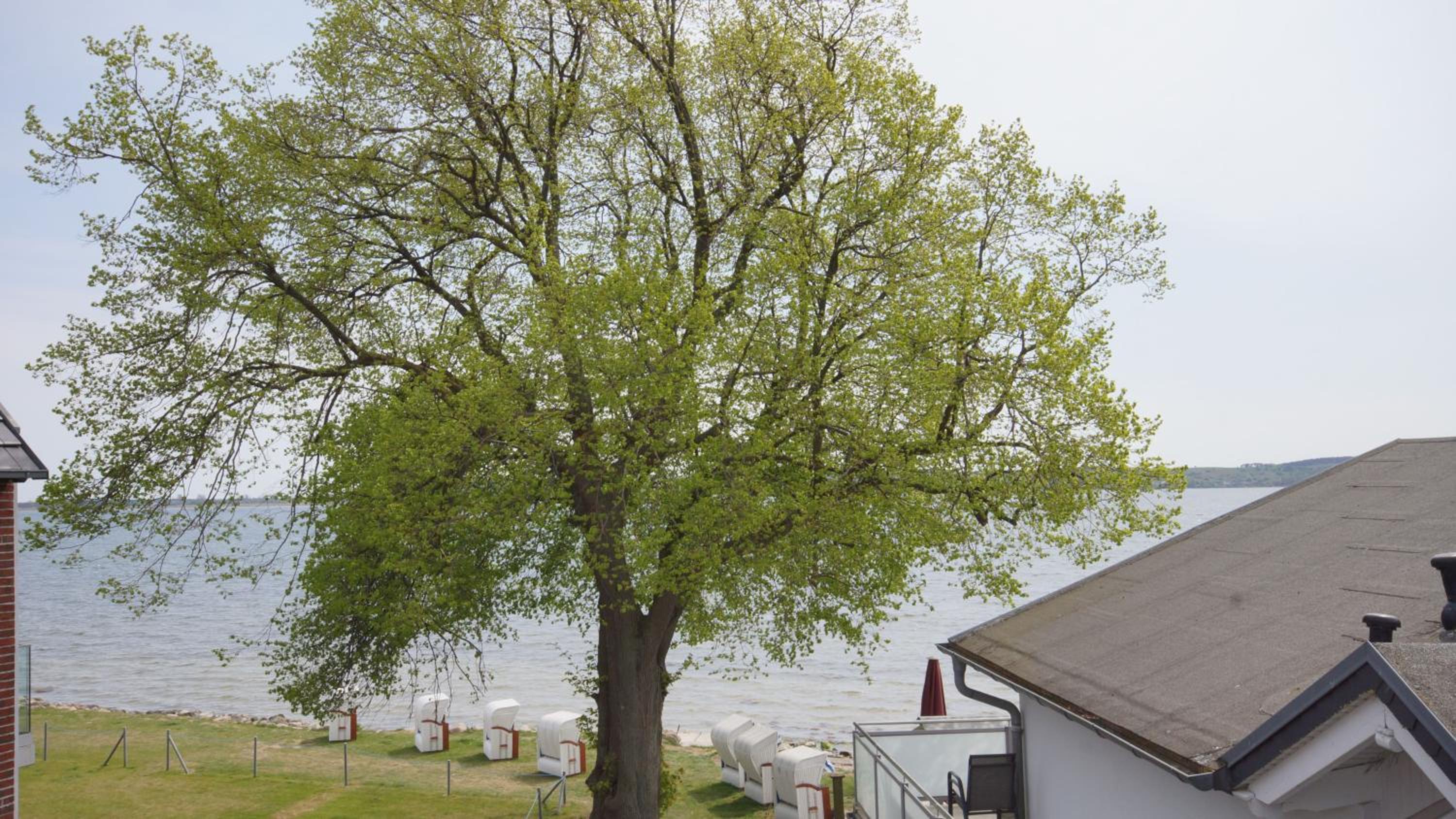 Haus Seeblick mit 9 Wohnungen