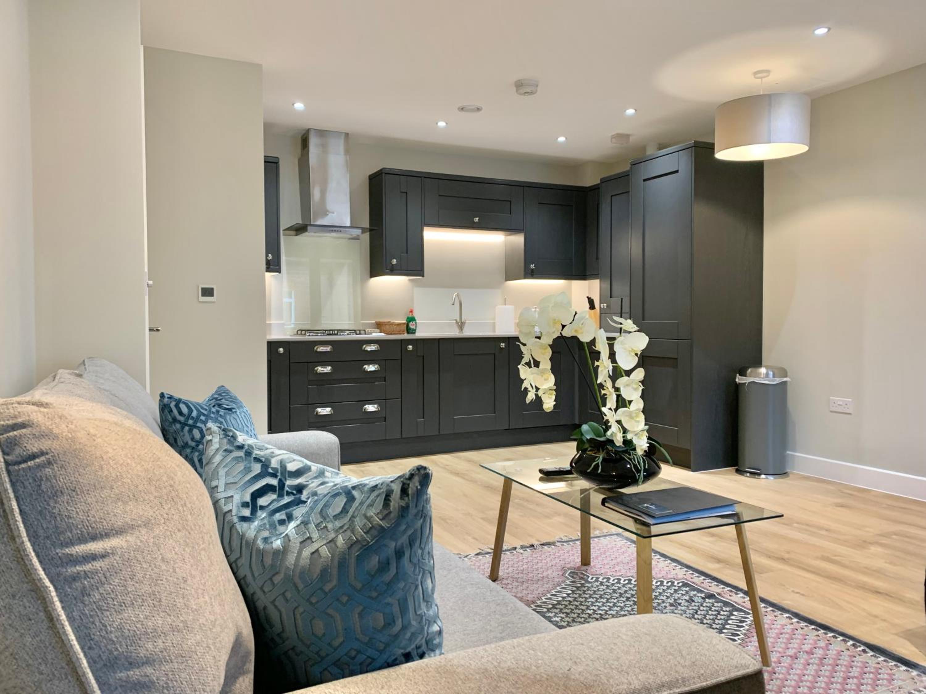 Luxury and modern two bedroom and two bathroom apartments Weybridge